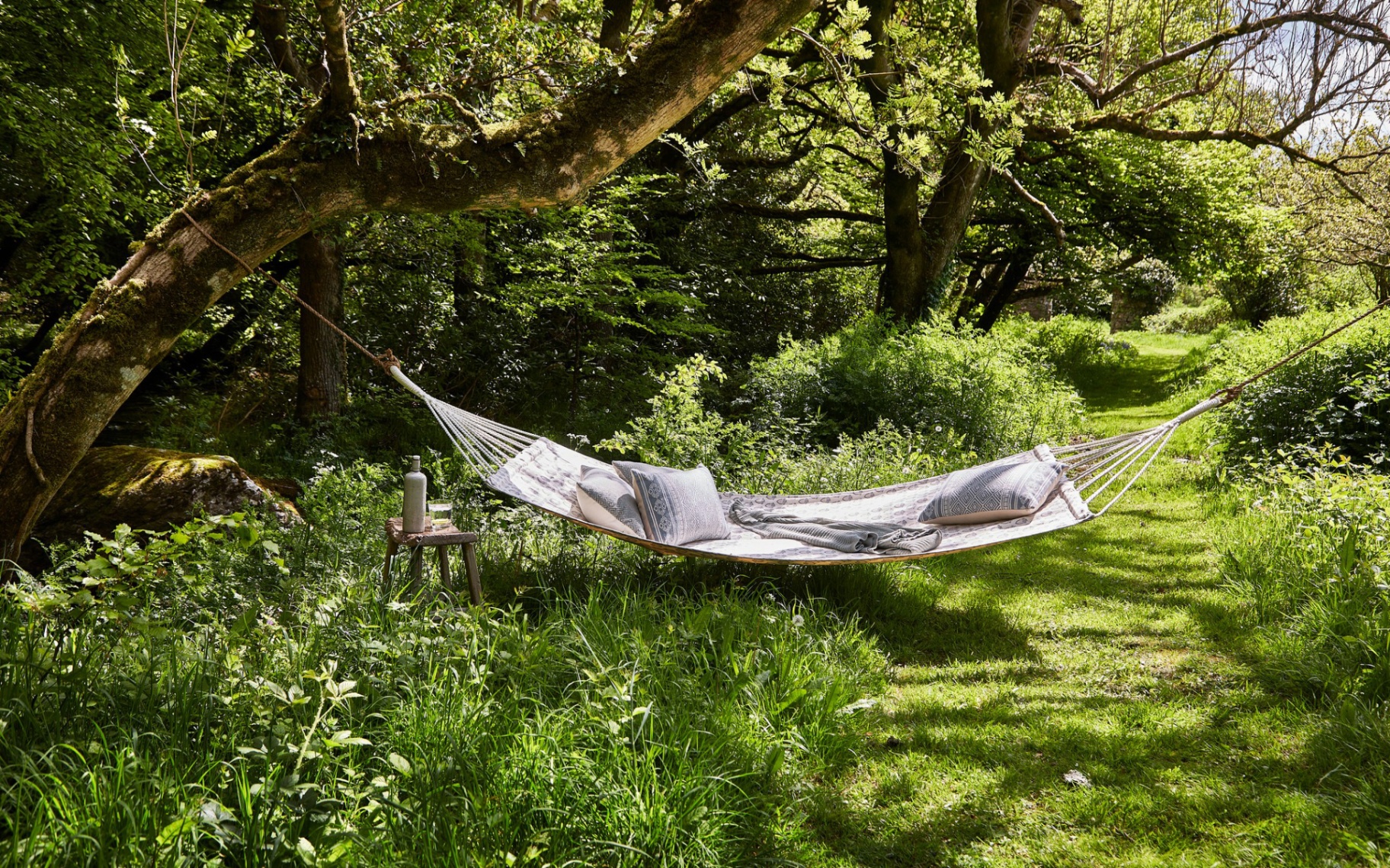 a hammock with cushions hung between two low trees with greenery all around
