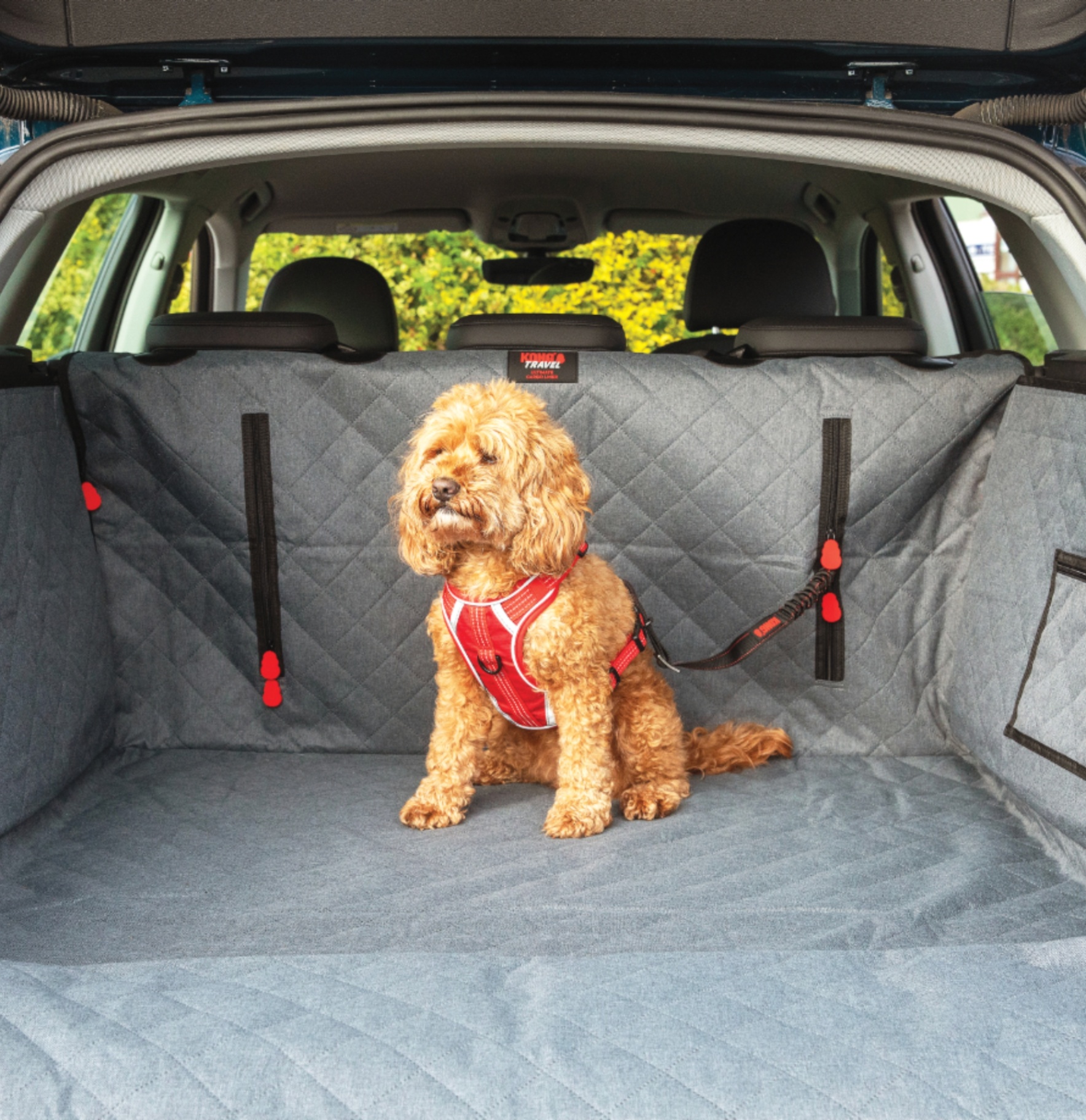 Cargo Liner for dogs to go in the boot of a car pictured with a dog in the back