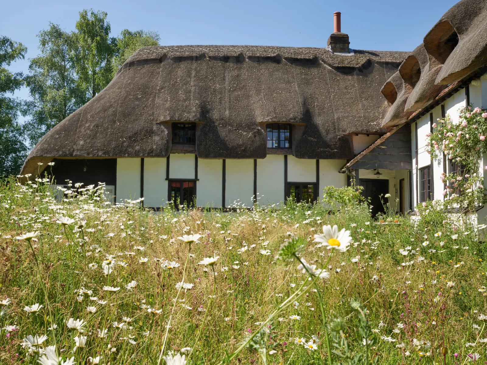an exterior shot of a black and white thatched cottage with a wild flower meadow in front