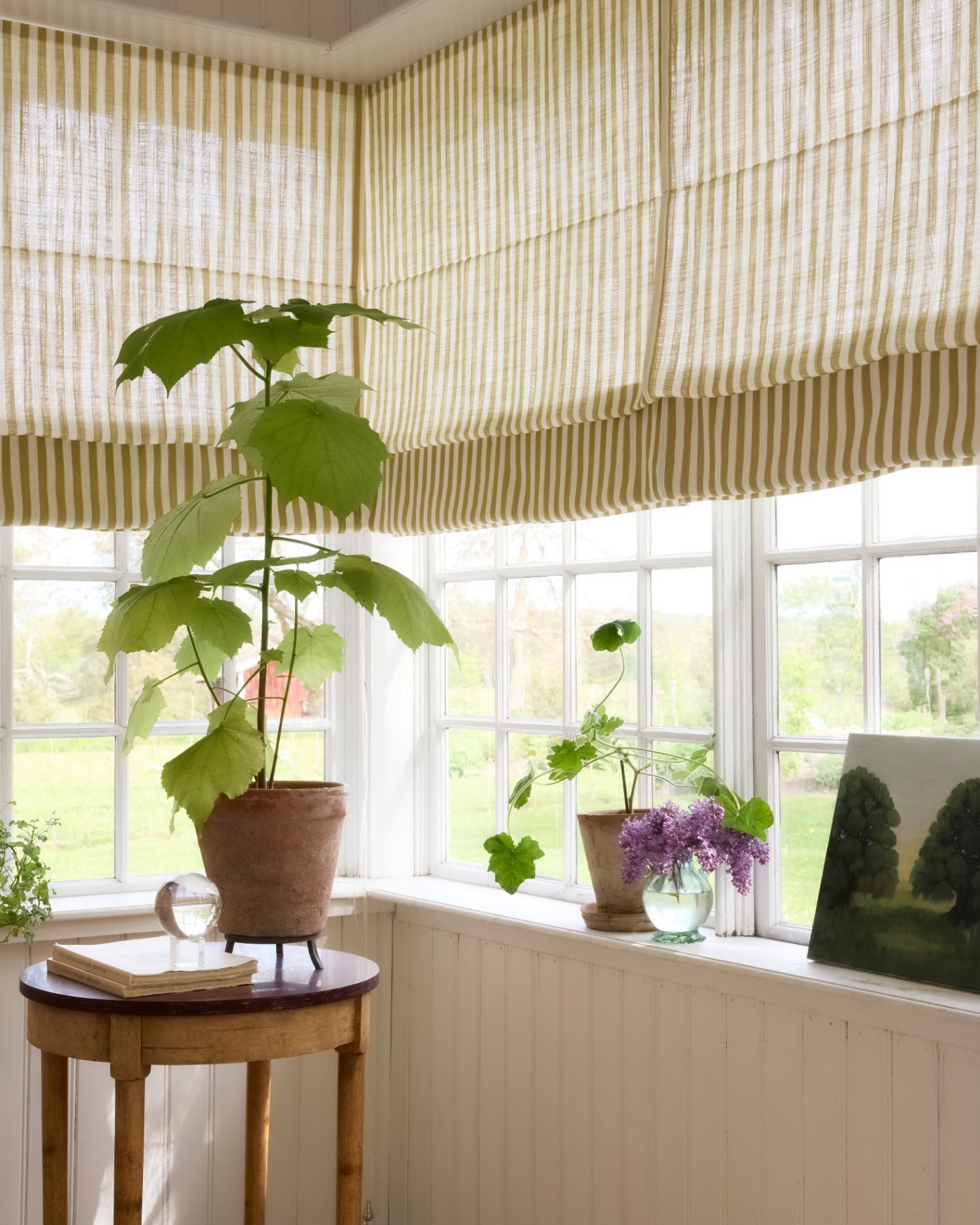 a window corner with white and green stripe blinds and a small wooden side table with a terracotta plant pot with a tall plant inside