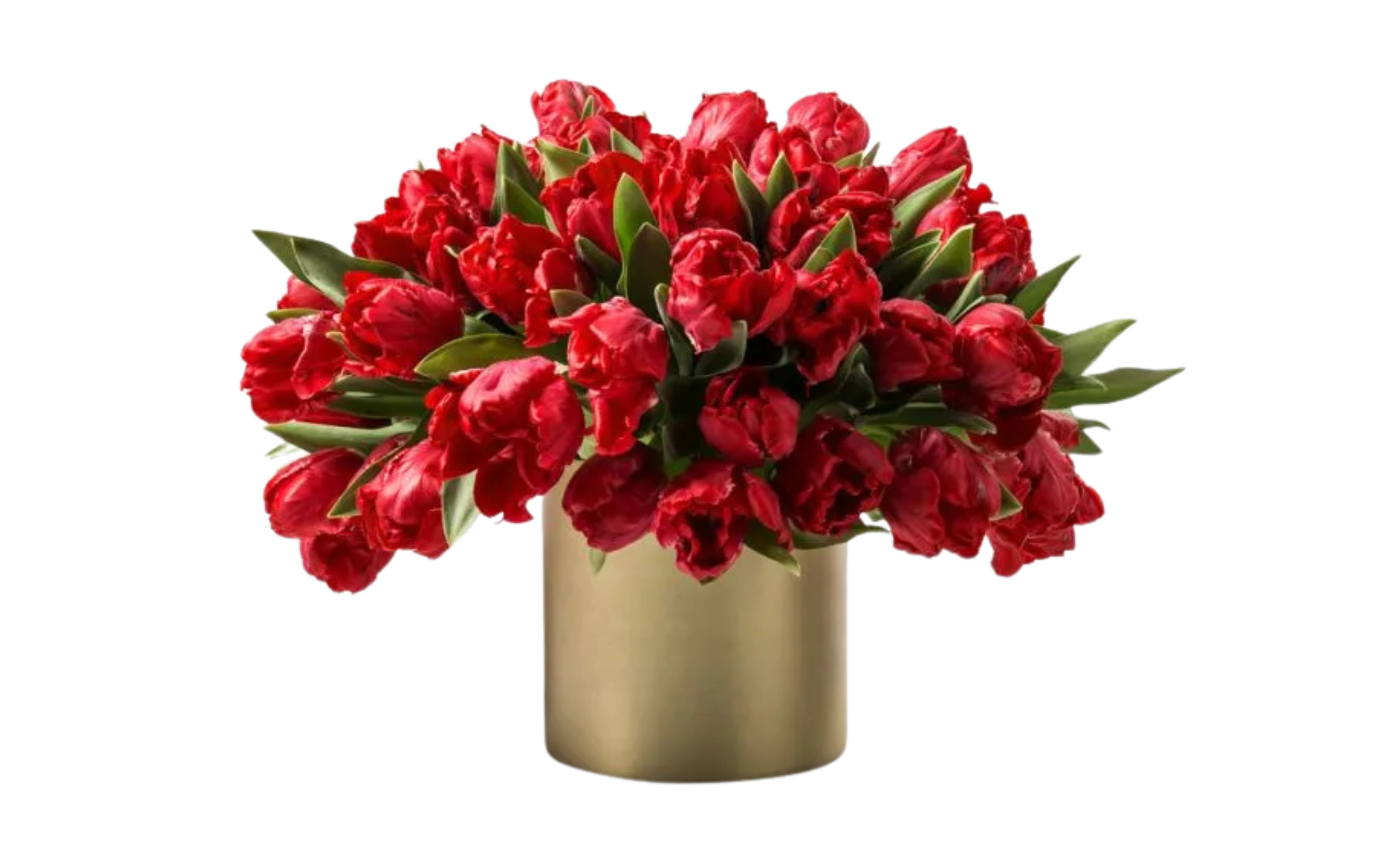spring flowers
