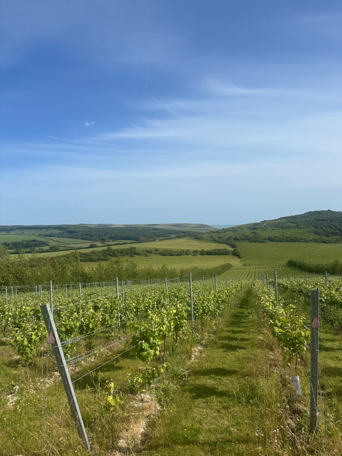 Rathfinney Vineyard, East Sussex