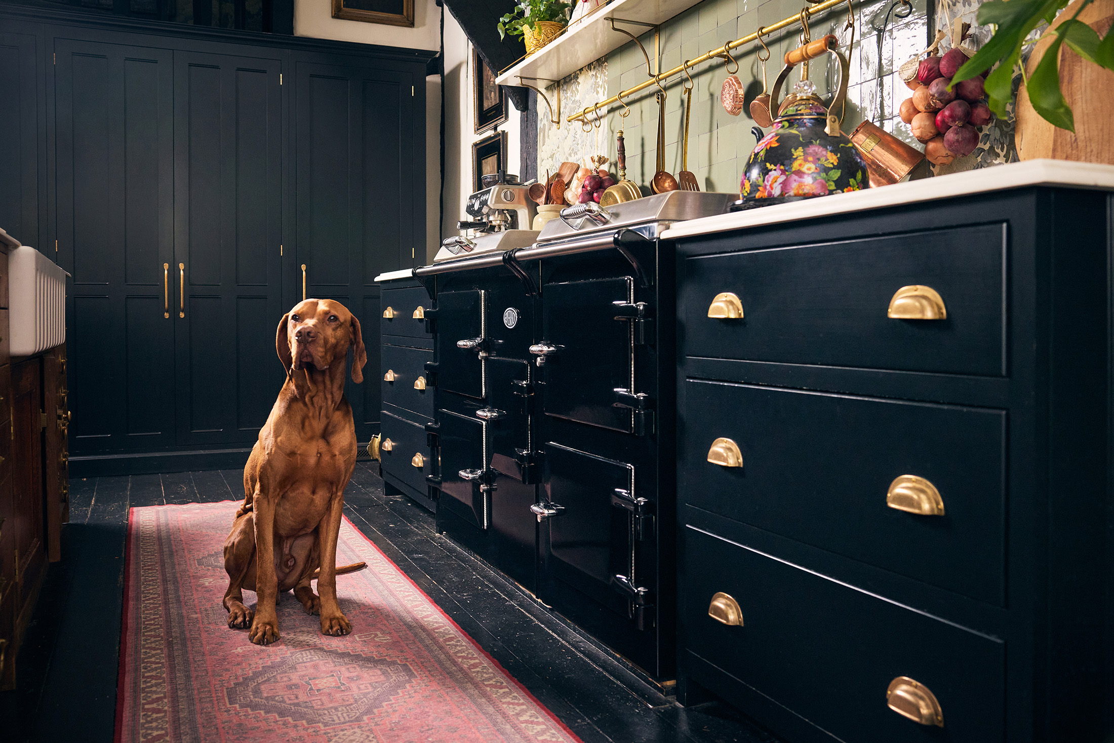 pet-friendly interiors