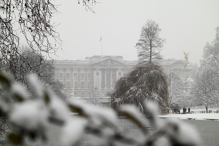 Buckingham Palace in the snow