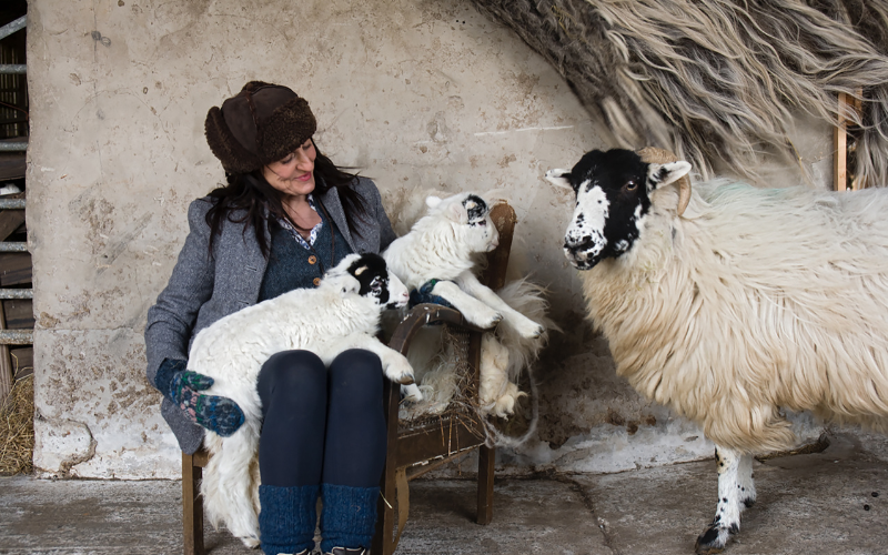 The Shepherdess, Alison O'Neill and her sheep