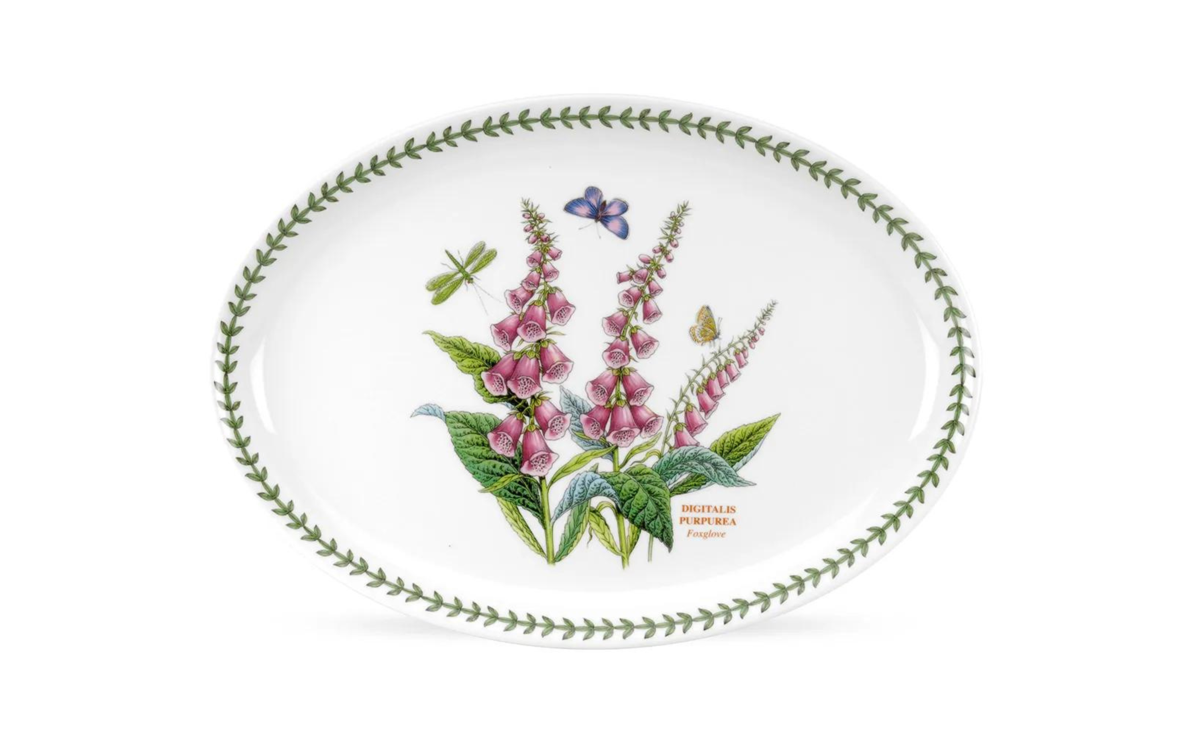 BEST SERVEWARE