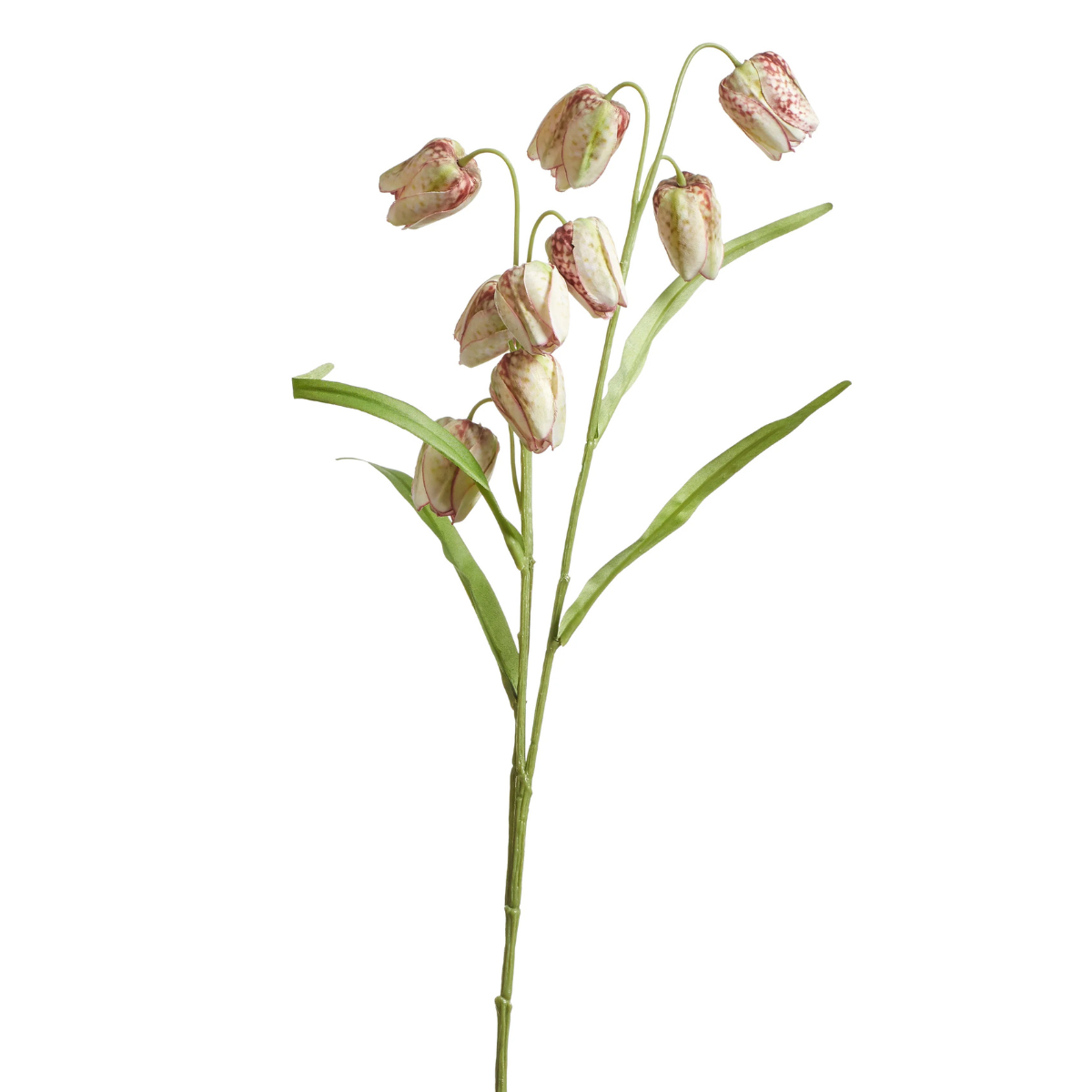 A faux pink and white Fritillaria Stem with a green stem and leaves