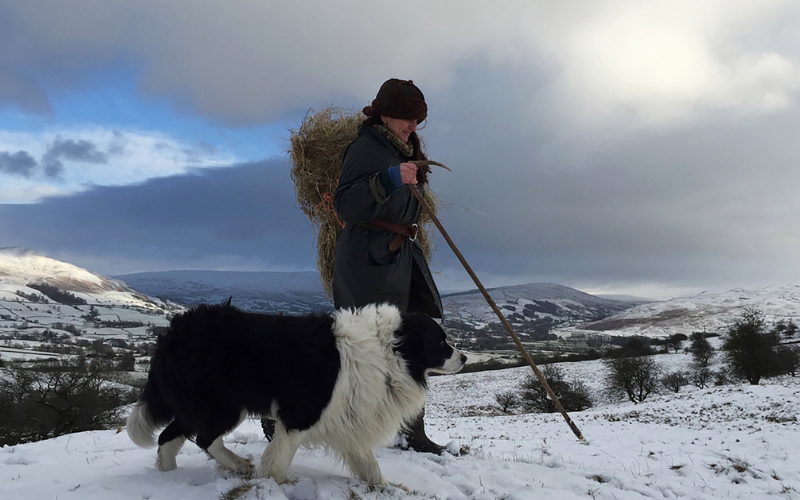 Shepherdess Alison O'Neill and shadow the sheepdog in the Yorkshire Dales