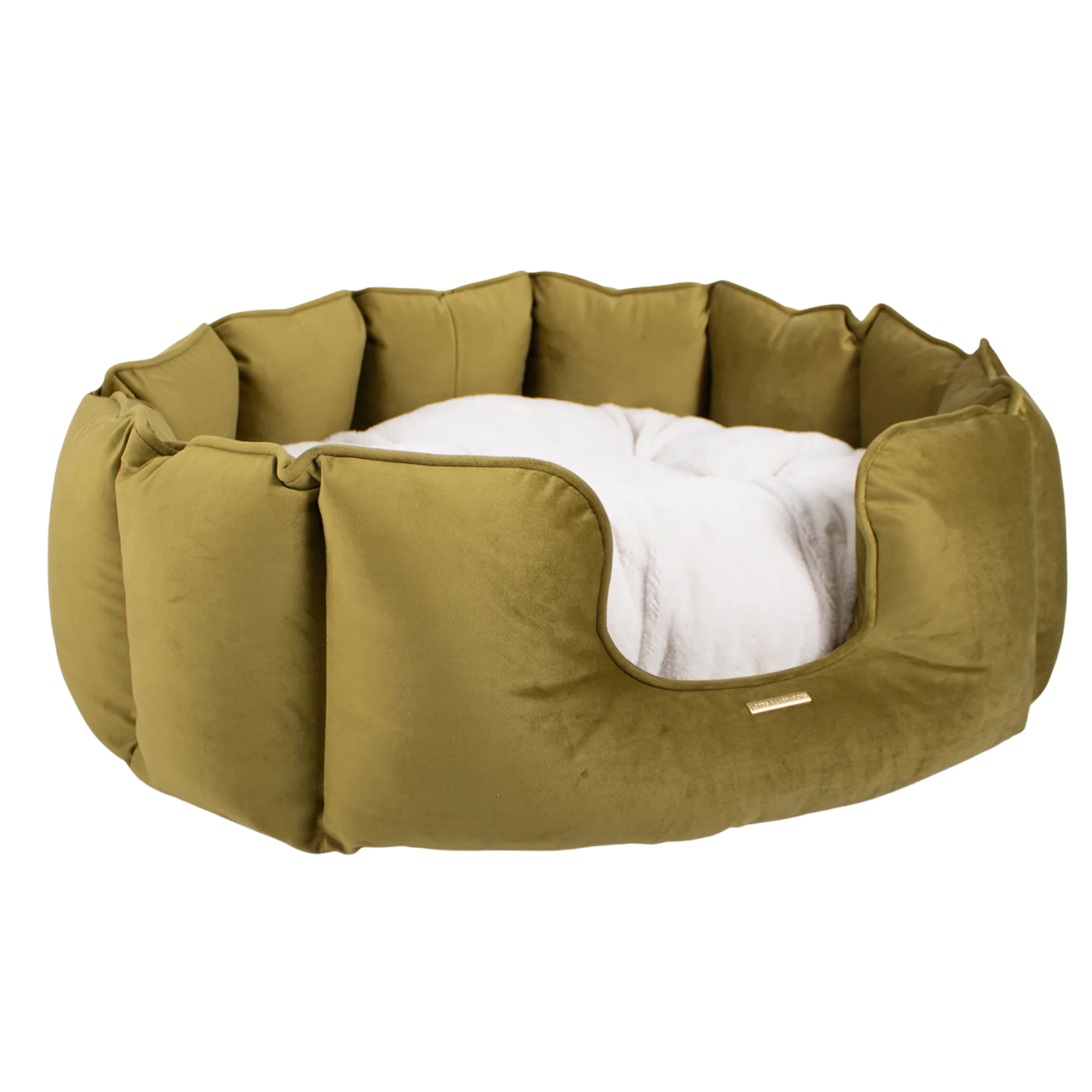 olive green high wall dog bed