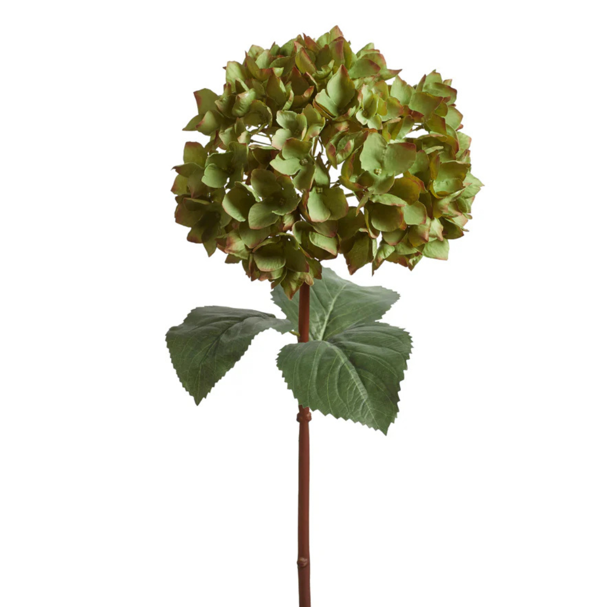 a faux green hydrangea stem