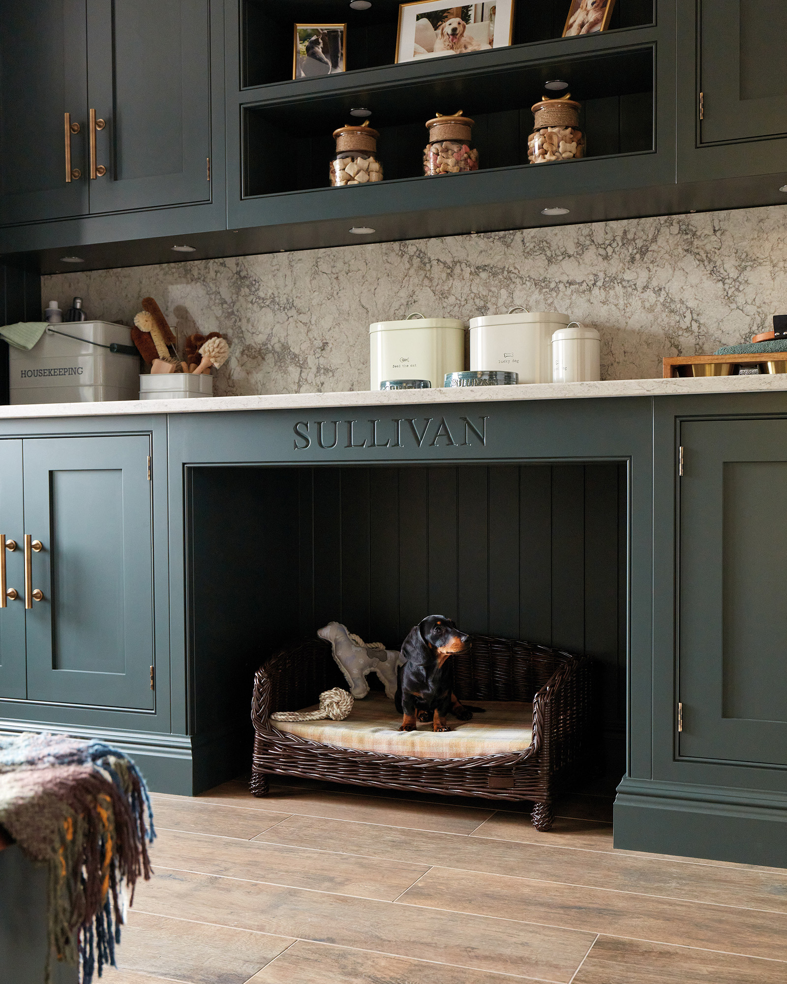 pet friendly interiors
