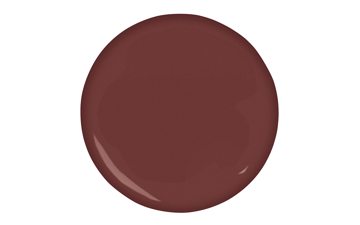Earthborn Lady Bug paint