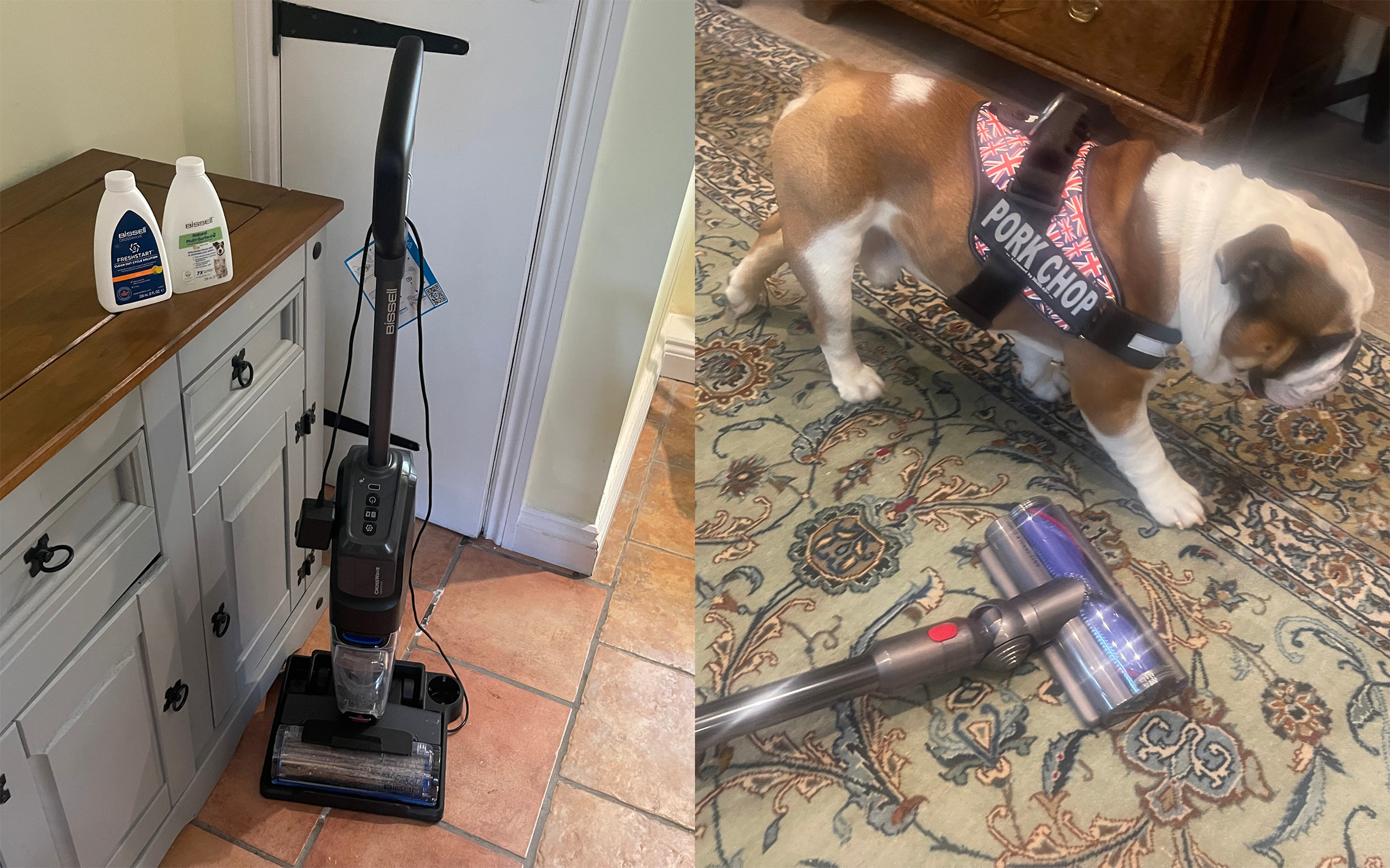 best vacuum for pet hair