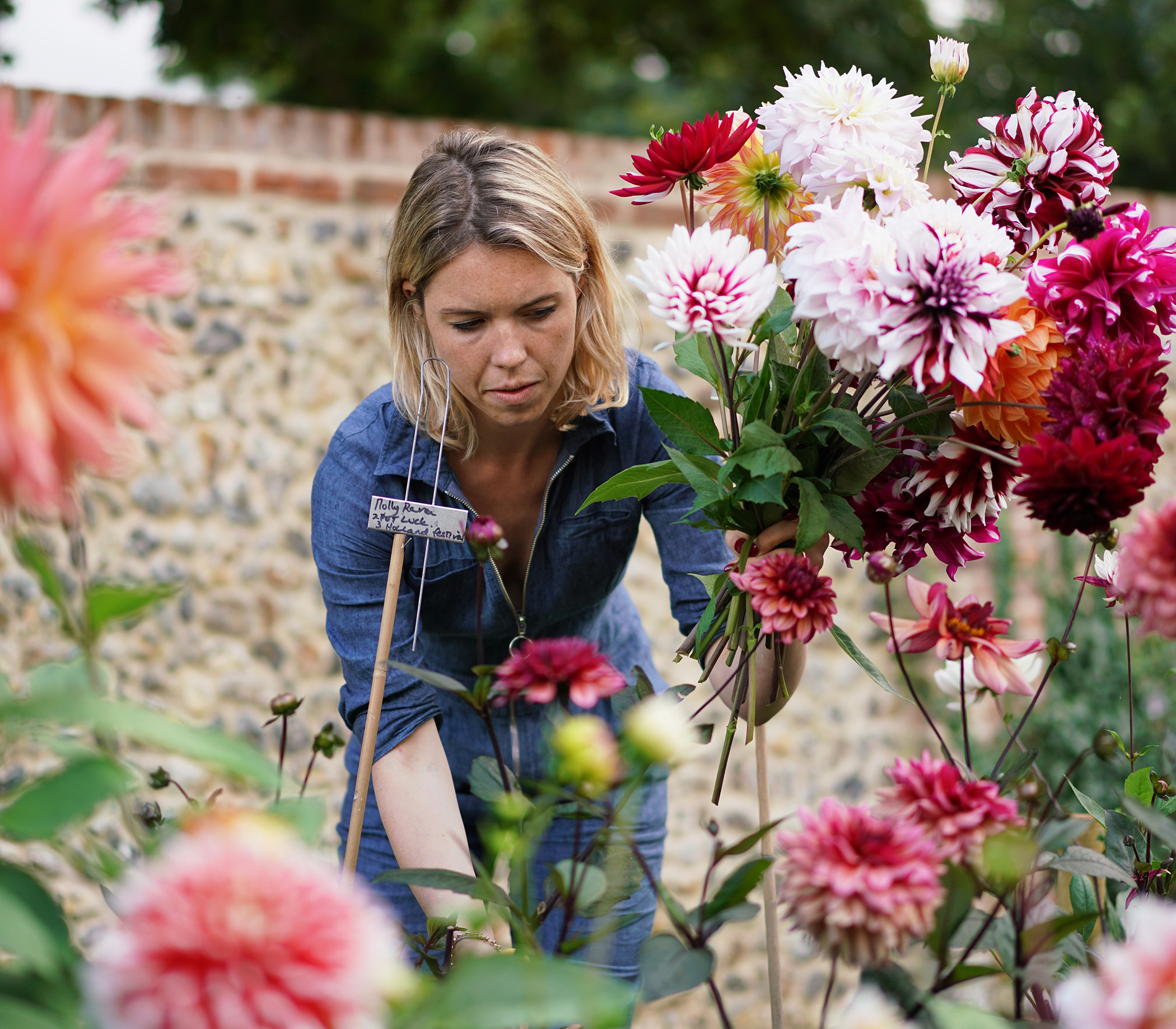 lucy vail florist