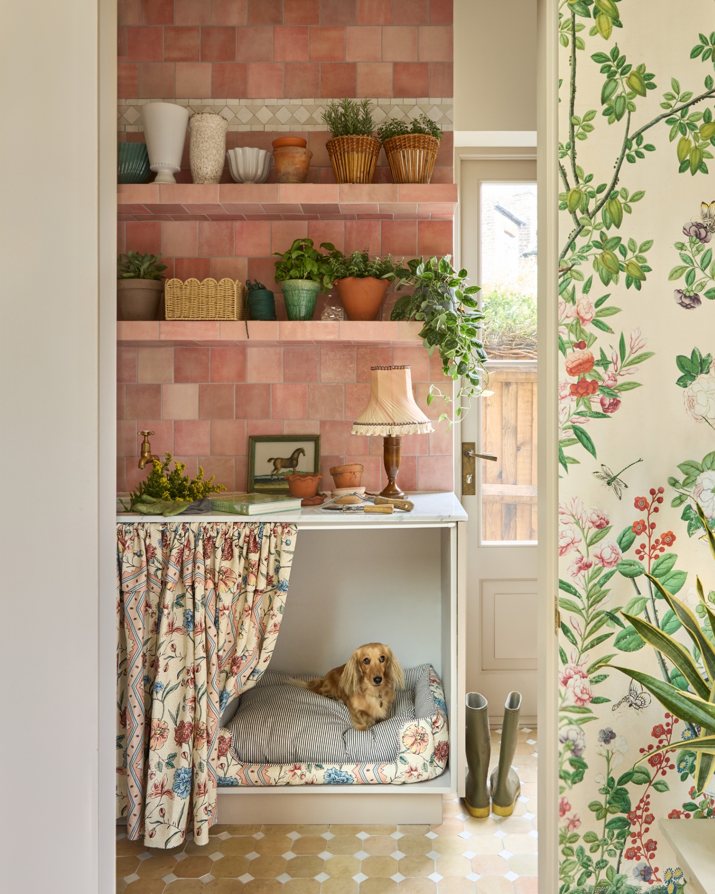 a utility room with pink tiles, botanical wallpaper, open shelves with terracotta plant pots, a fabric skirt concealing a dog bed with a long haired dachshund inside