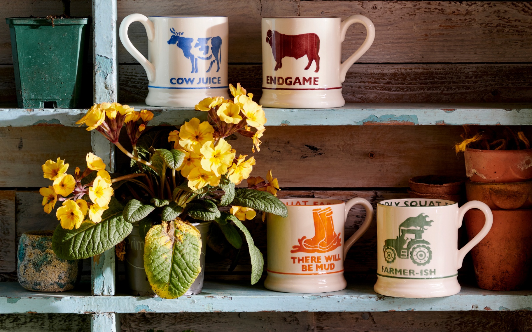 4 emma bridgewater diddly squat farm mugs on two shelves next to a pot of yellow flowers