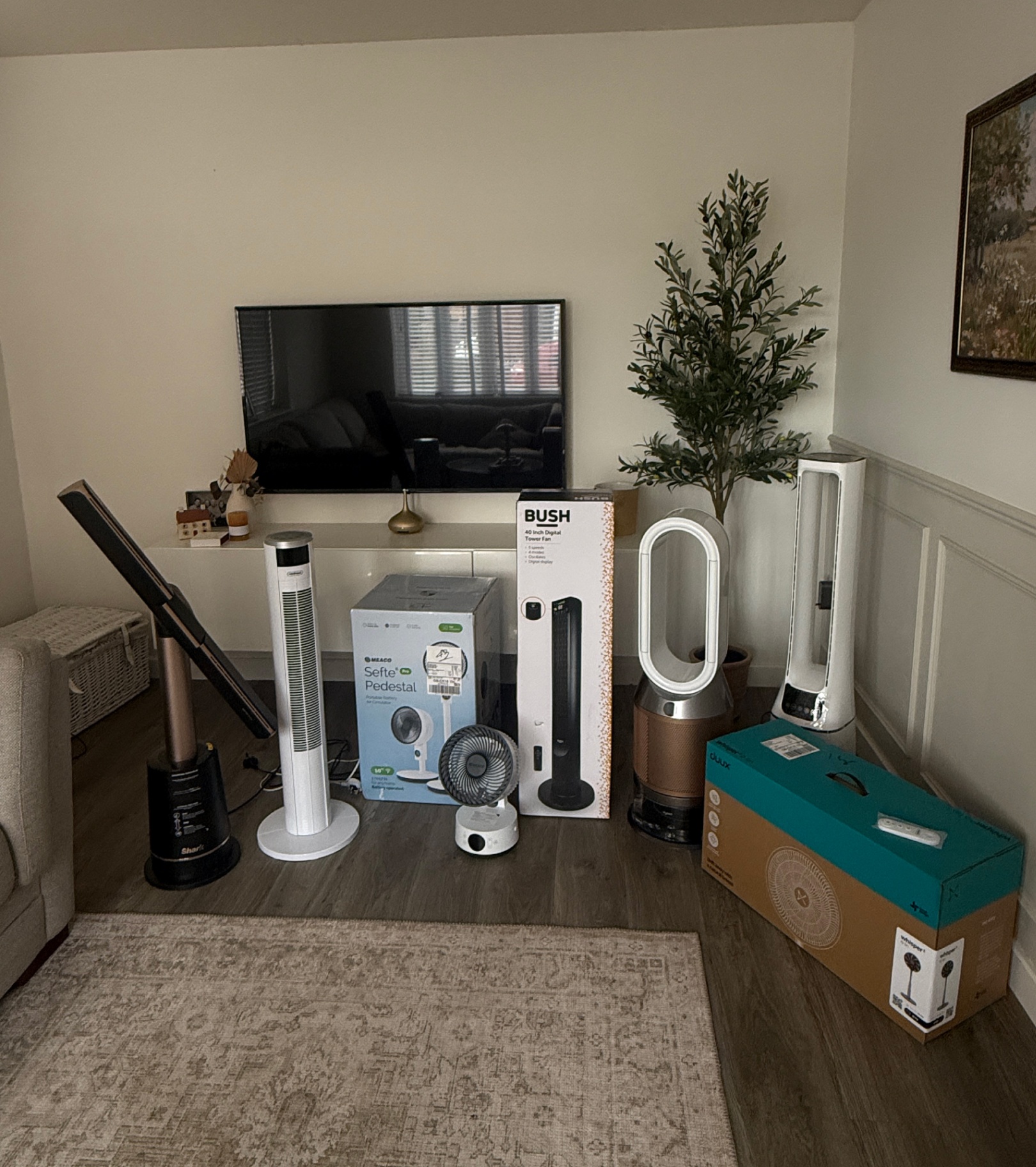 a group of fans in a living room with a patterned rug, a black tv above a white floating stand and a faux olive tree in the corner