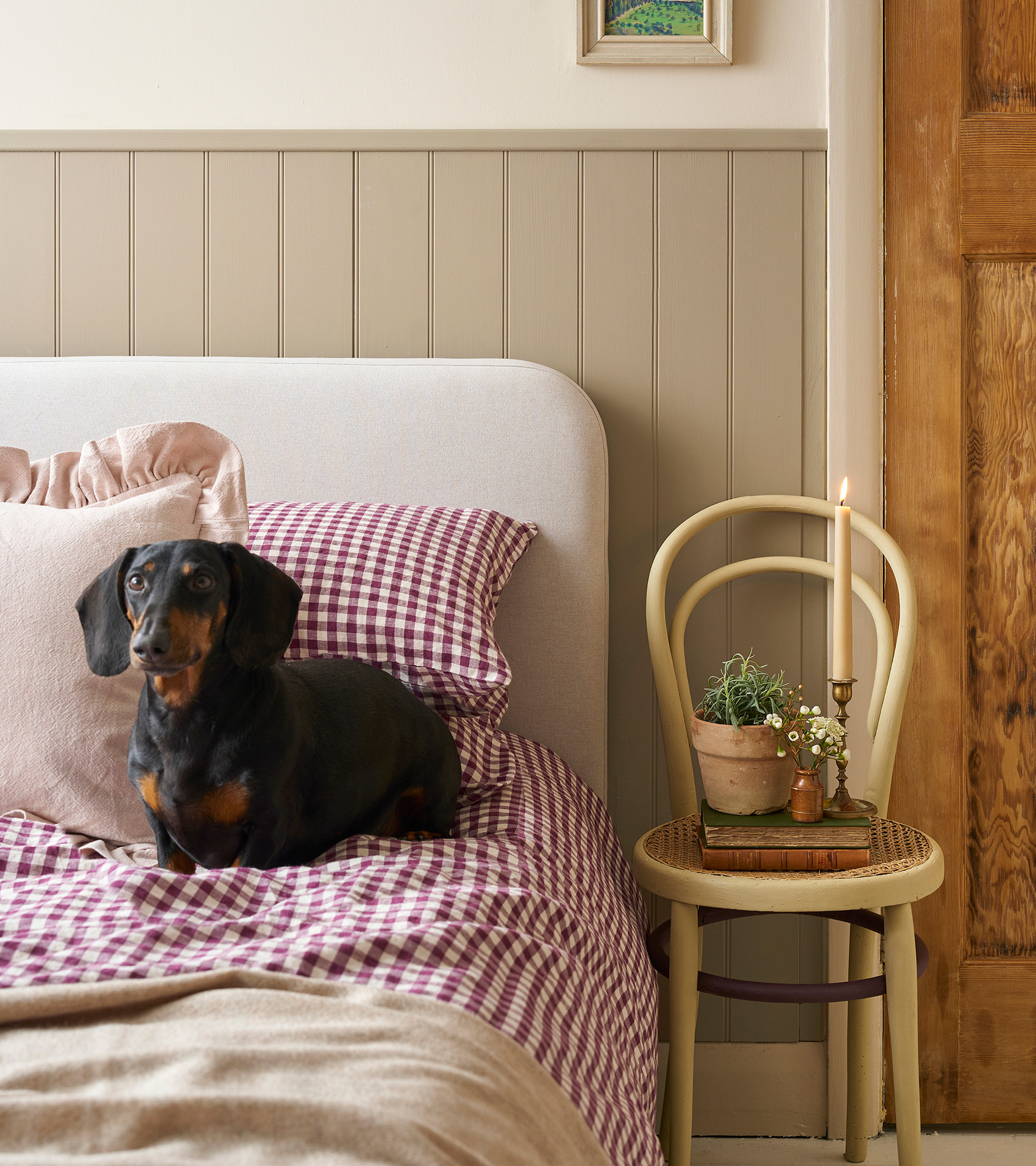 pet friendly interiors
