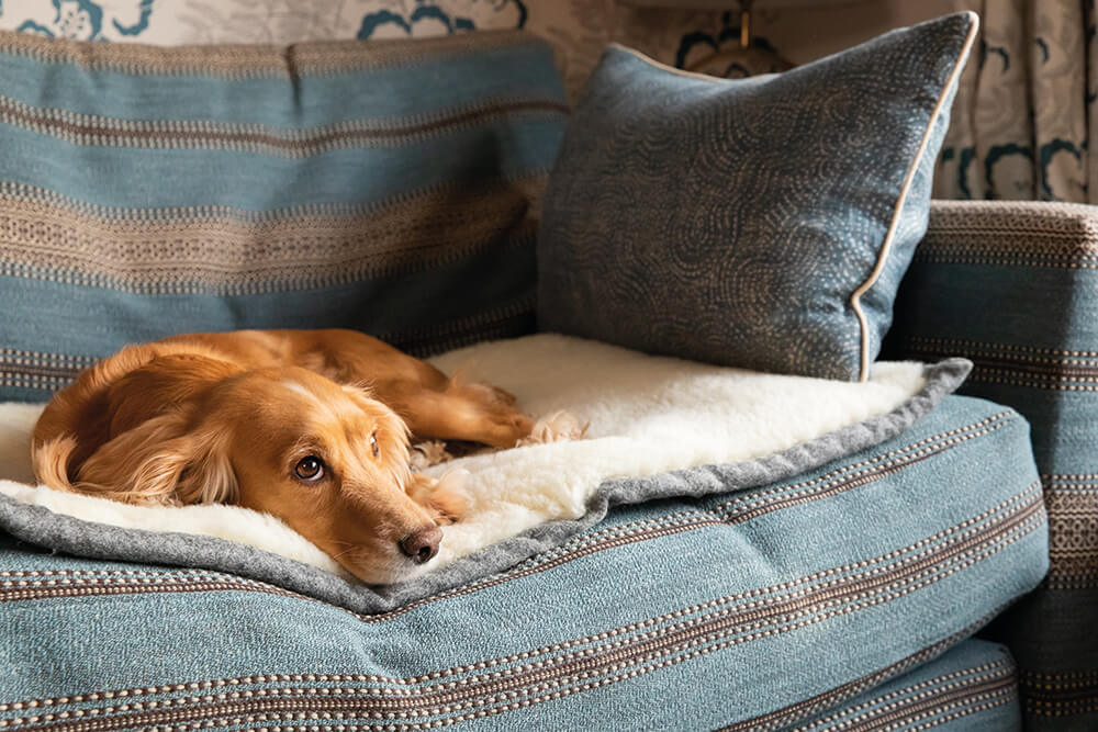 gifts for country living