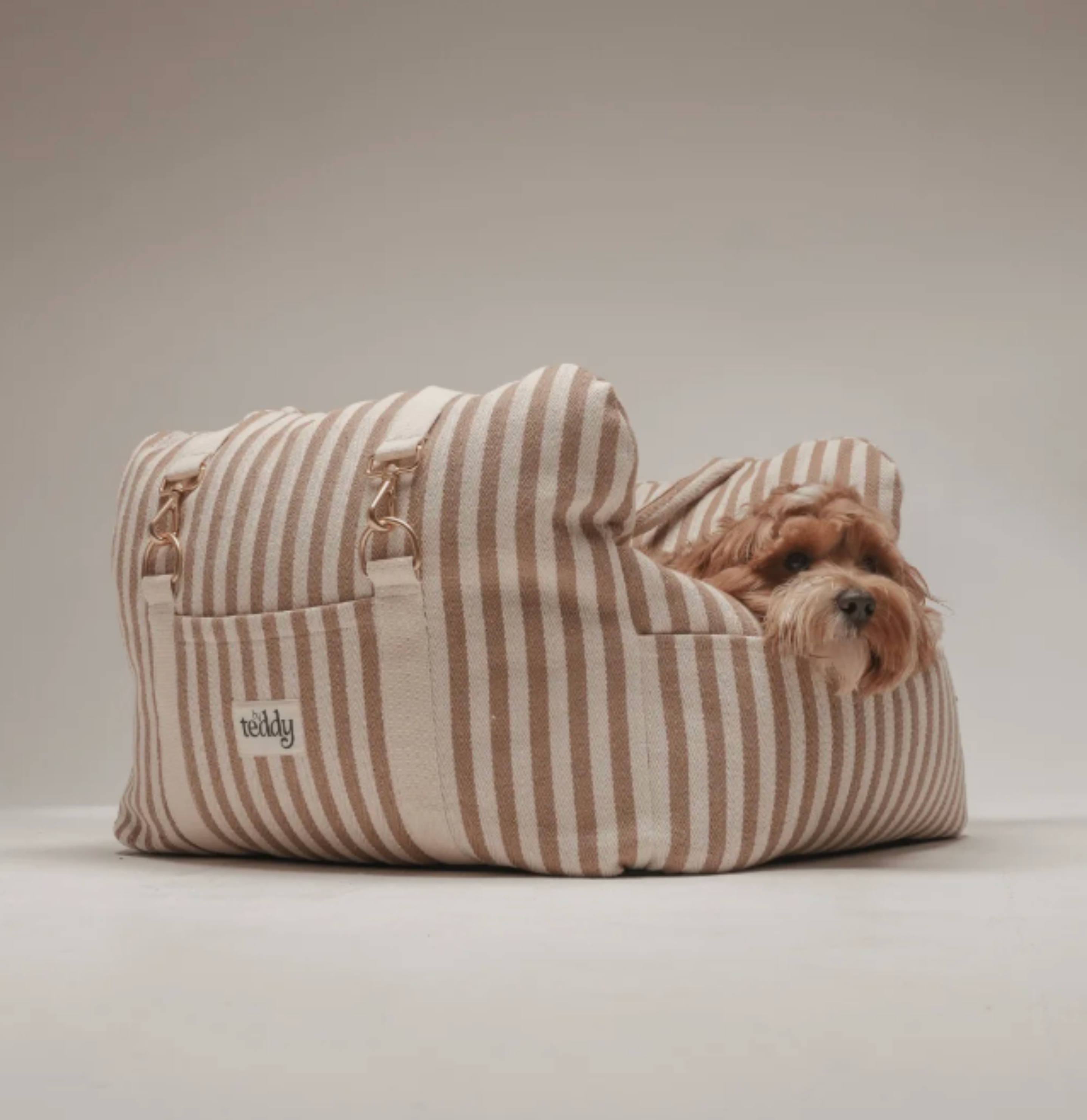 chic dog beg pictured in canvas stripe from by teddy with a dog inside on a grey background
