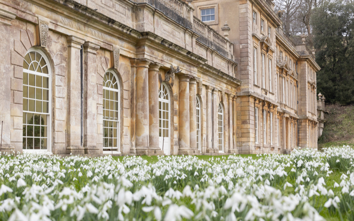 where to visit snowdrops