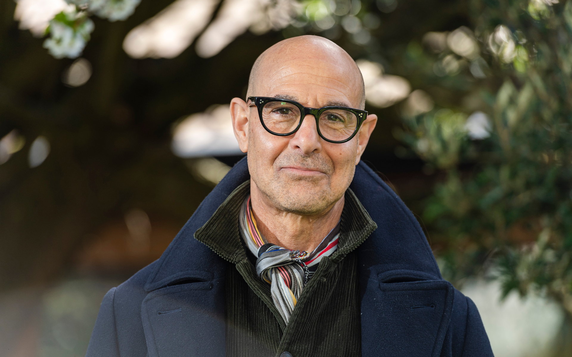 stanley tucci