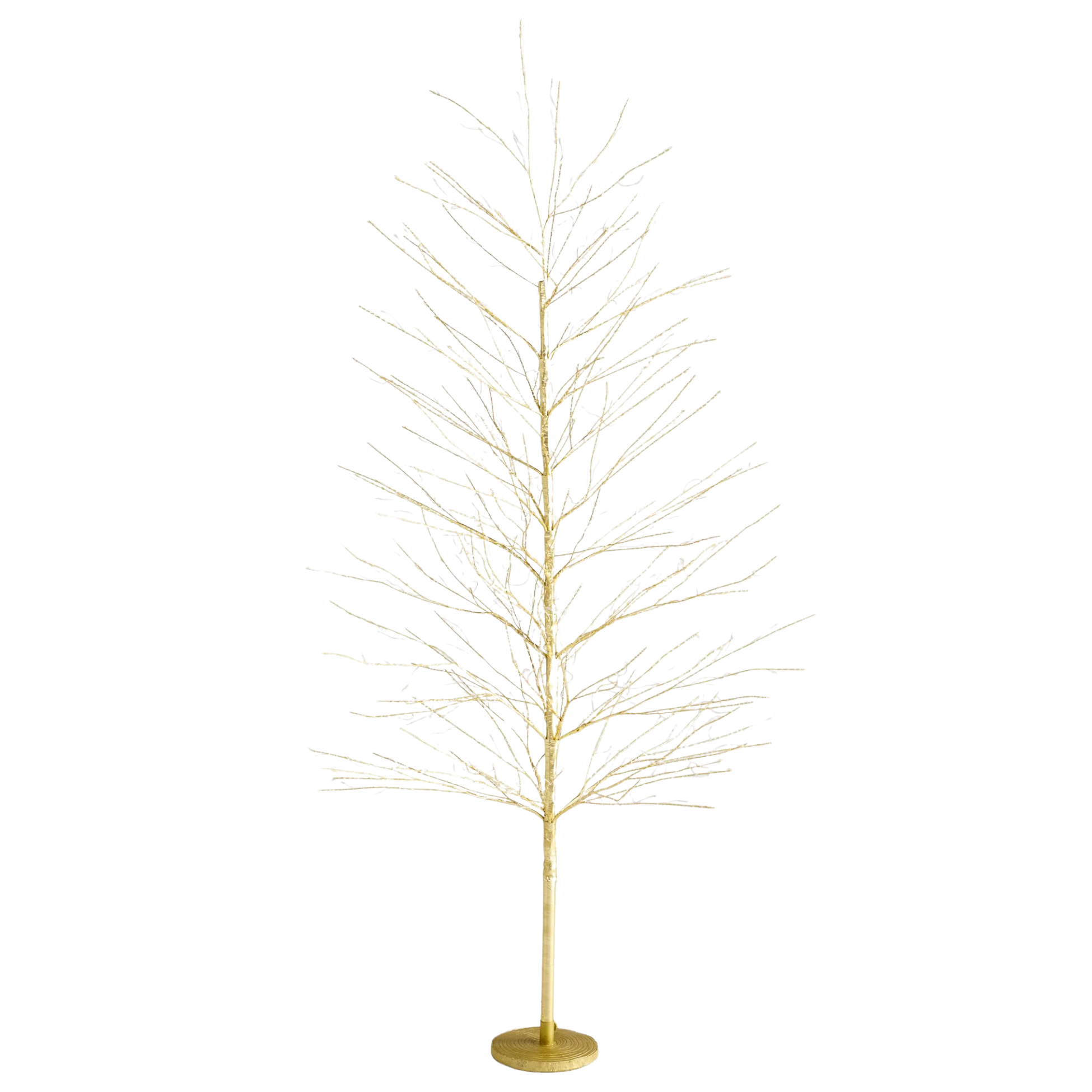next gold twig tree