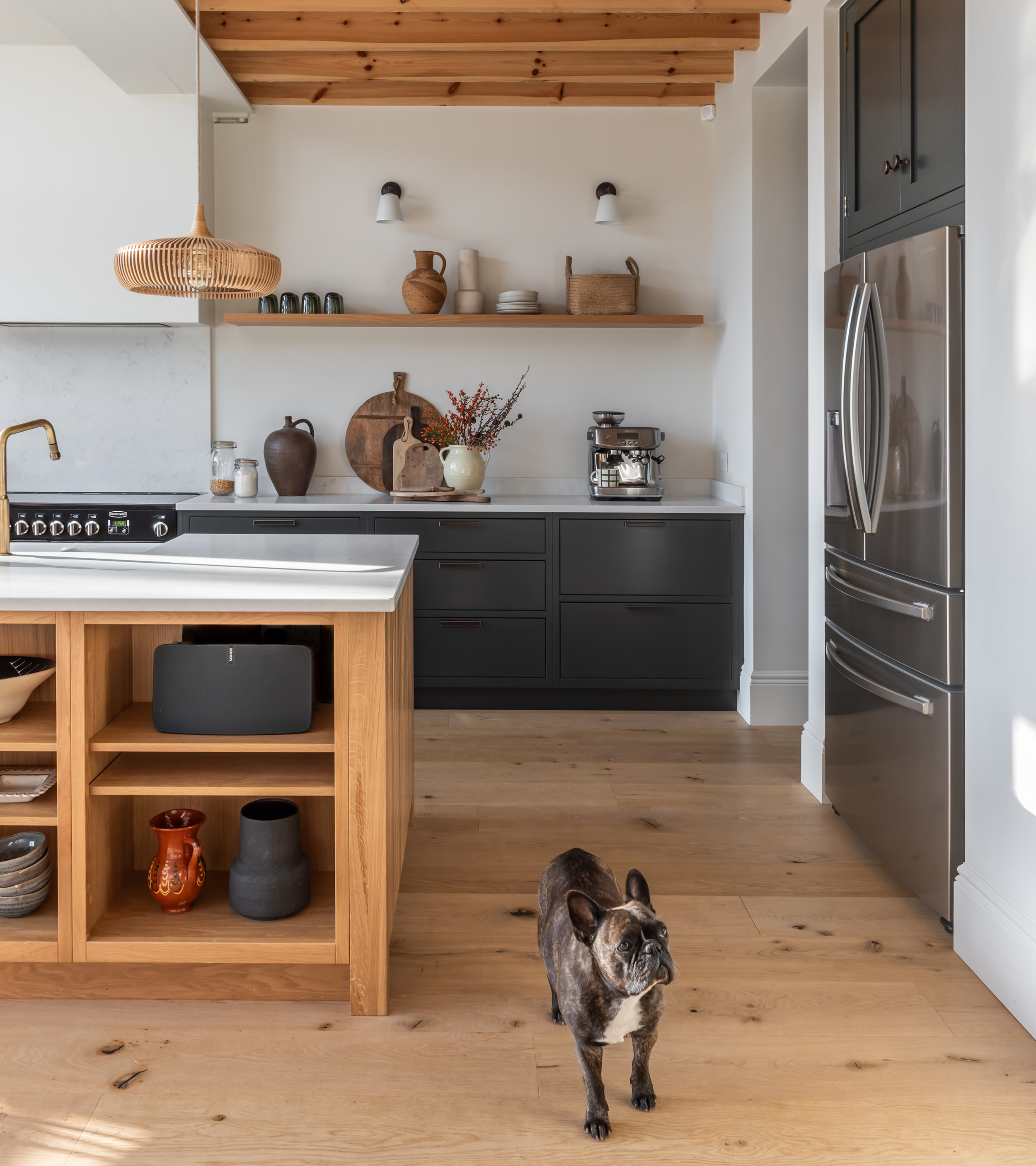 pet friendly interiors