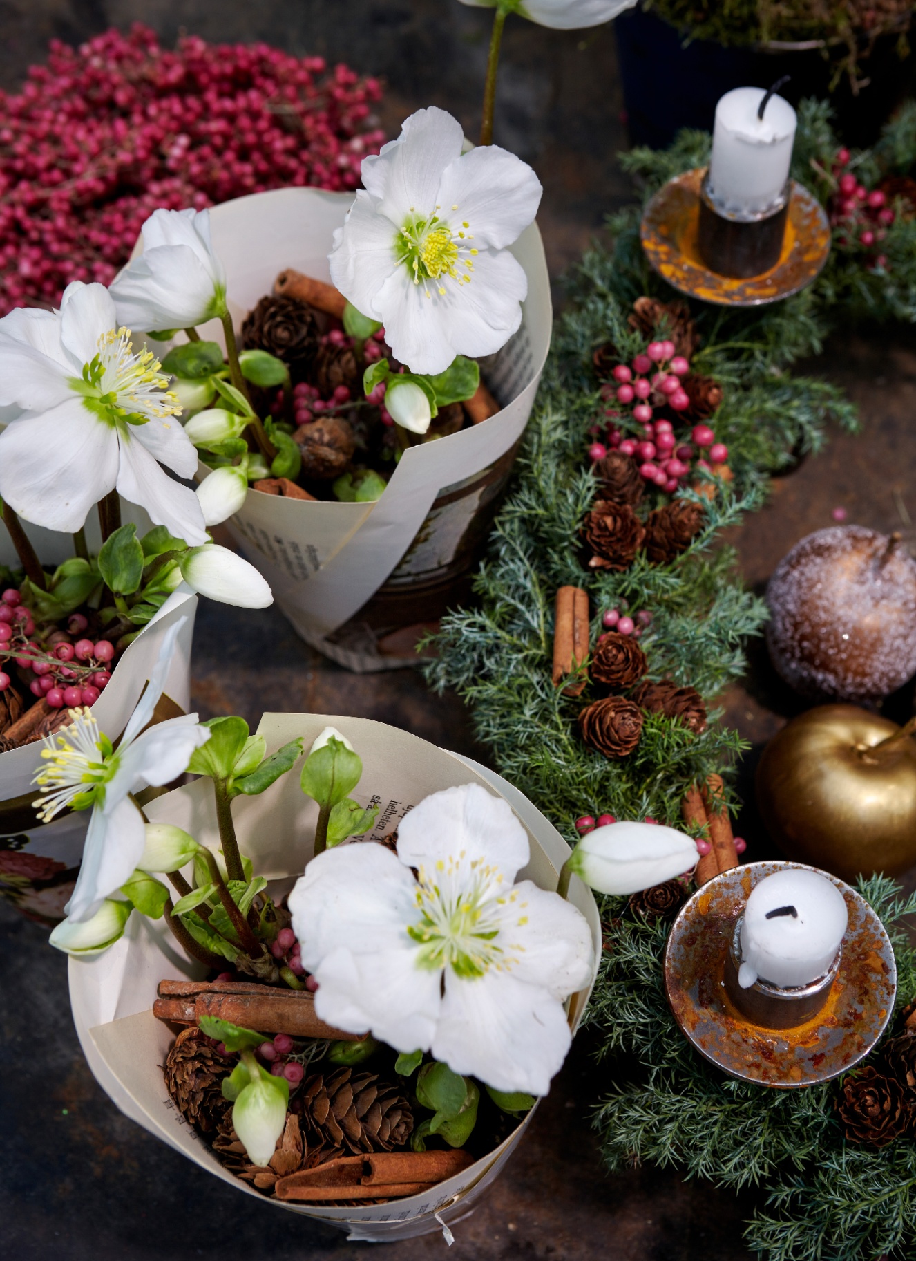 A close-up of small, paper-wrapped pots of white hellebores (winter roses) adorned with pinecones, cinnamon sticks, and red berries, next to an evergreen garland with candles
