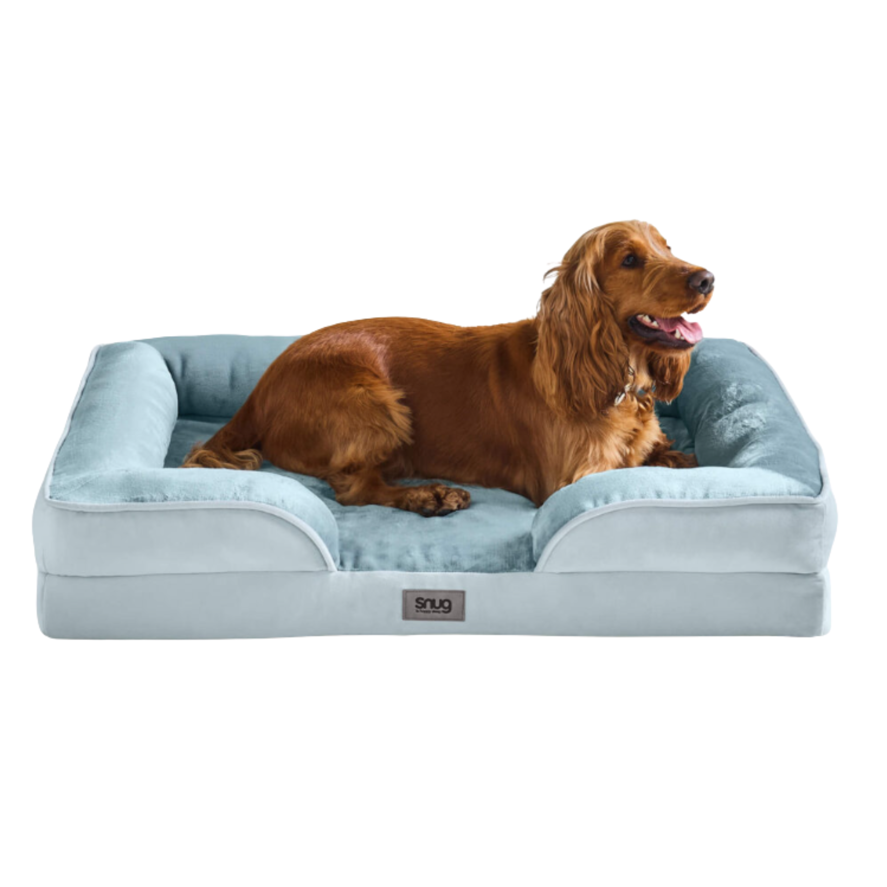 pale blue dog bed with a red spaniel inside