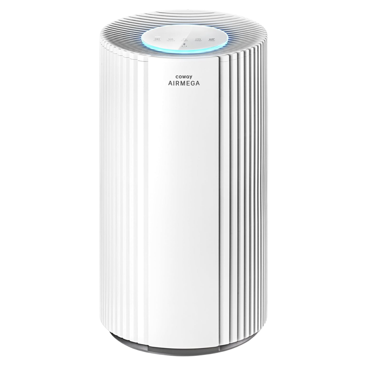 COWAY Powerful Air Purifier