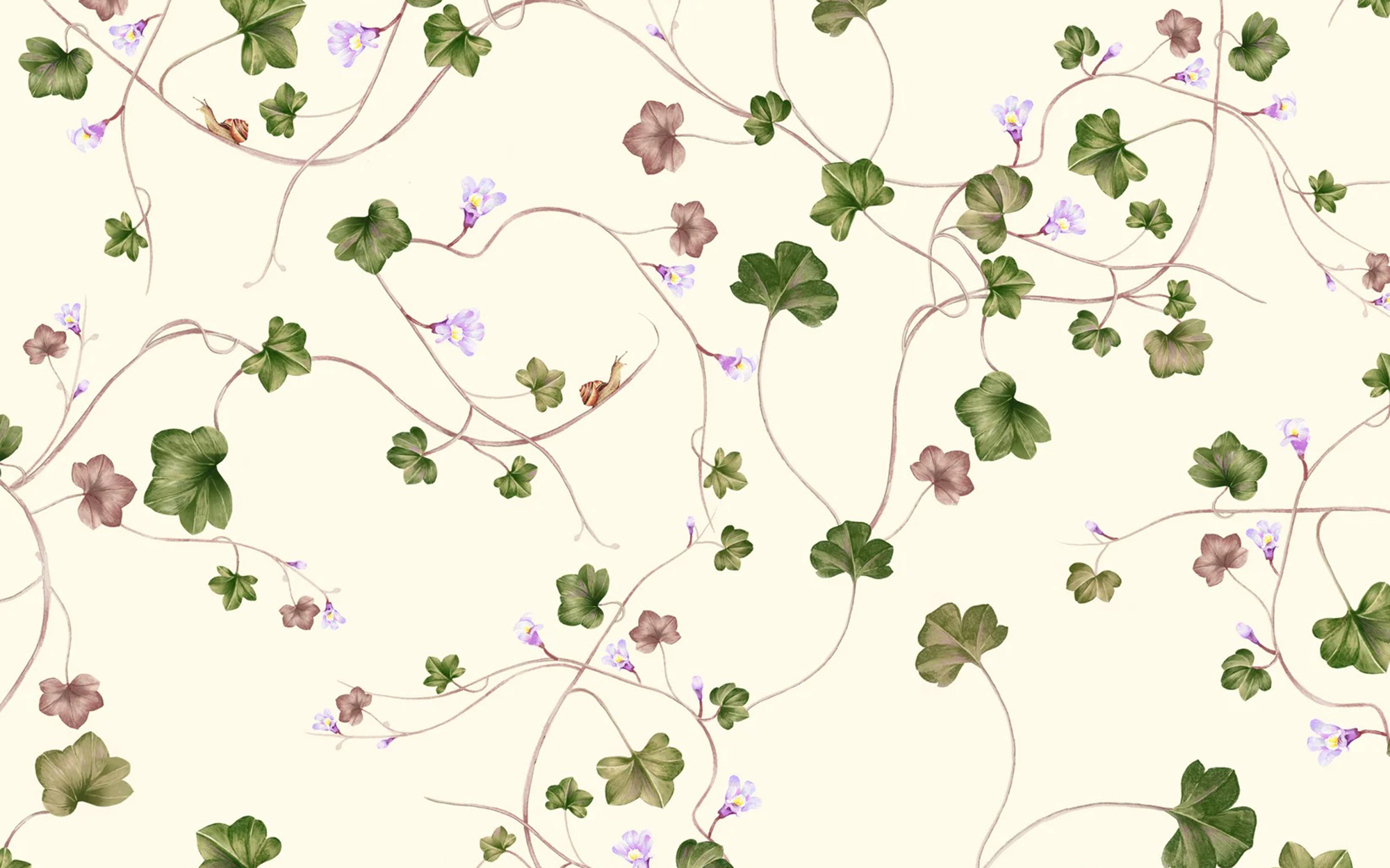 Living Quarters Creeping Toadflax wallpaper