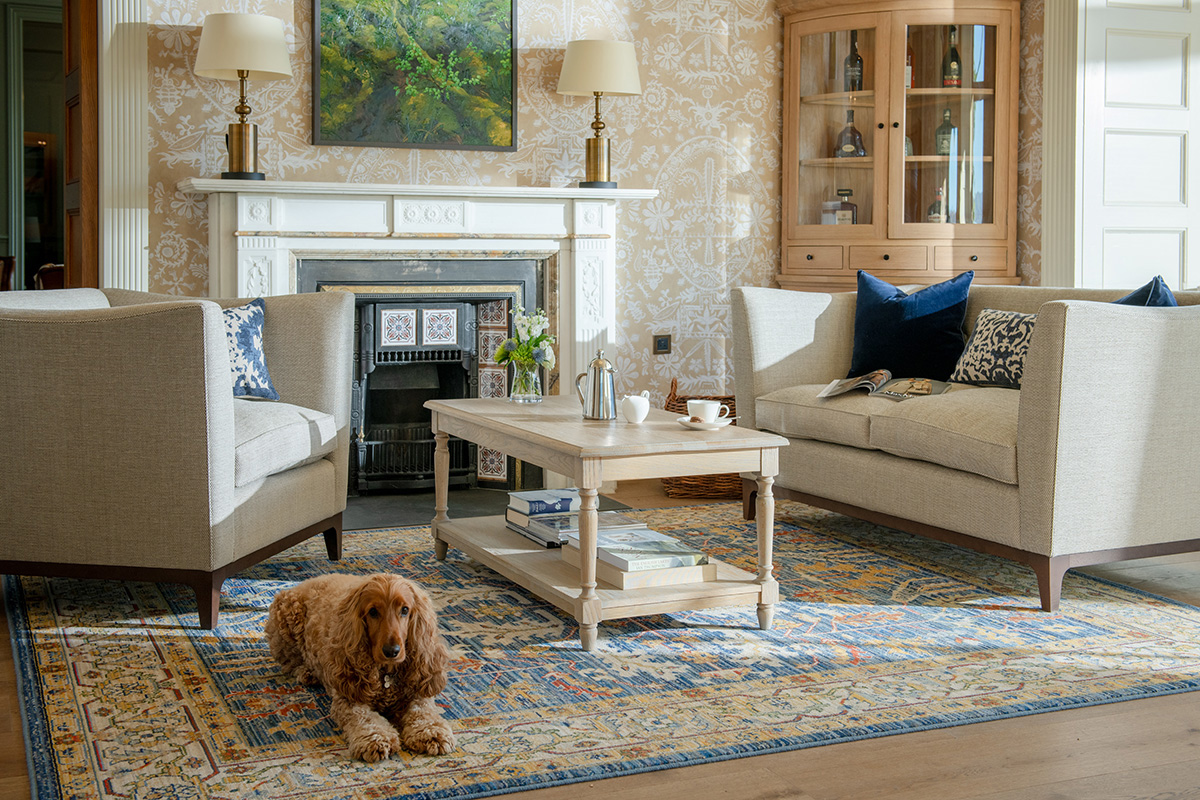 dog friendly hotels