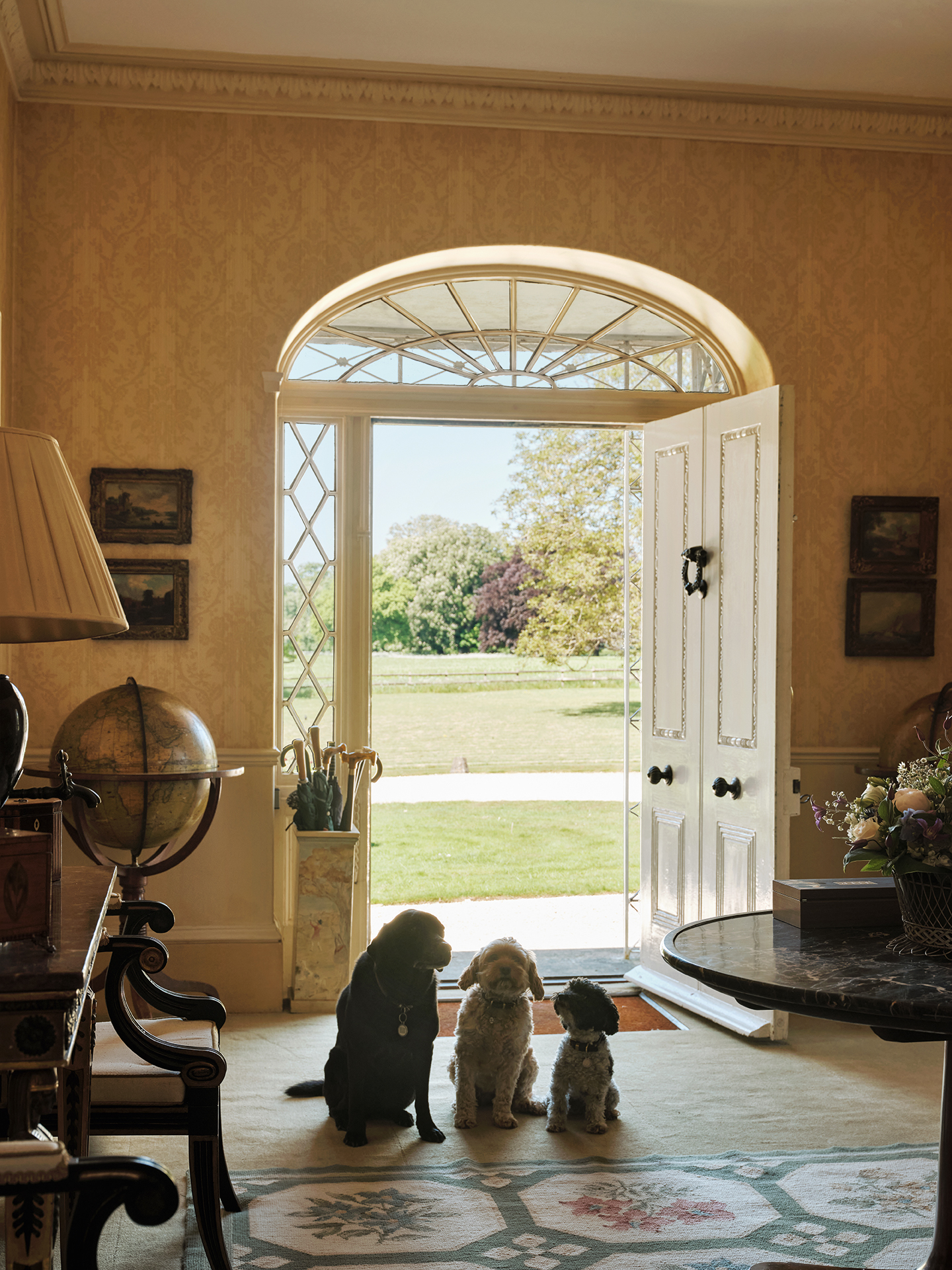 A labrador, Yorkiepoo and Cavapoo sit in the grand entrance hall of a country home next to a floral rug and in front of the wide front door which is open showing grass and trees beyond