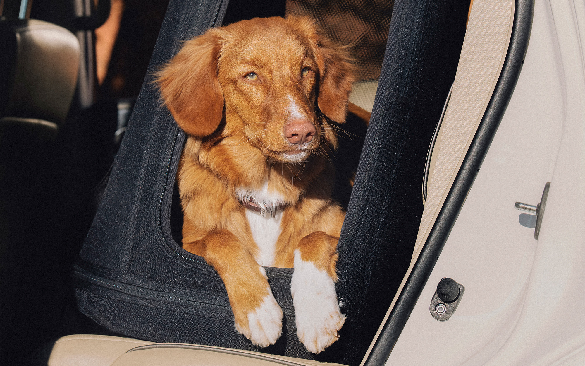 Crispin Pet Travel Crate TAVO