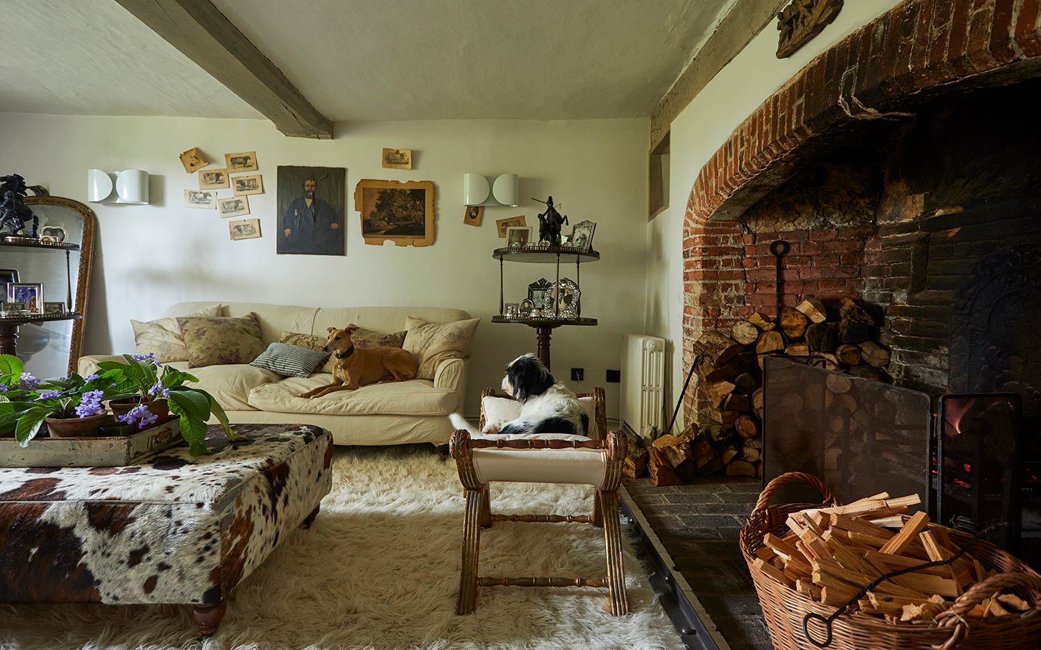 a cottage living room with white walls, a large brick fireplace with a basket of logs, a cream sofs with a dog on it and a cow print ottoman