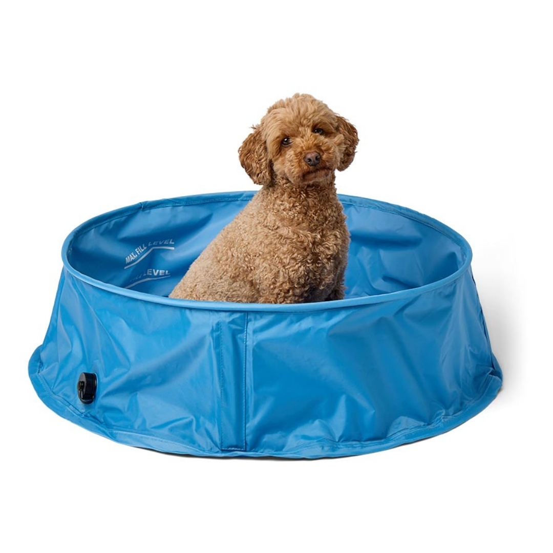 pets at home dog Pop-Up Paddling Pool pictured with small dog inside on a white background