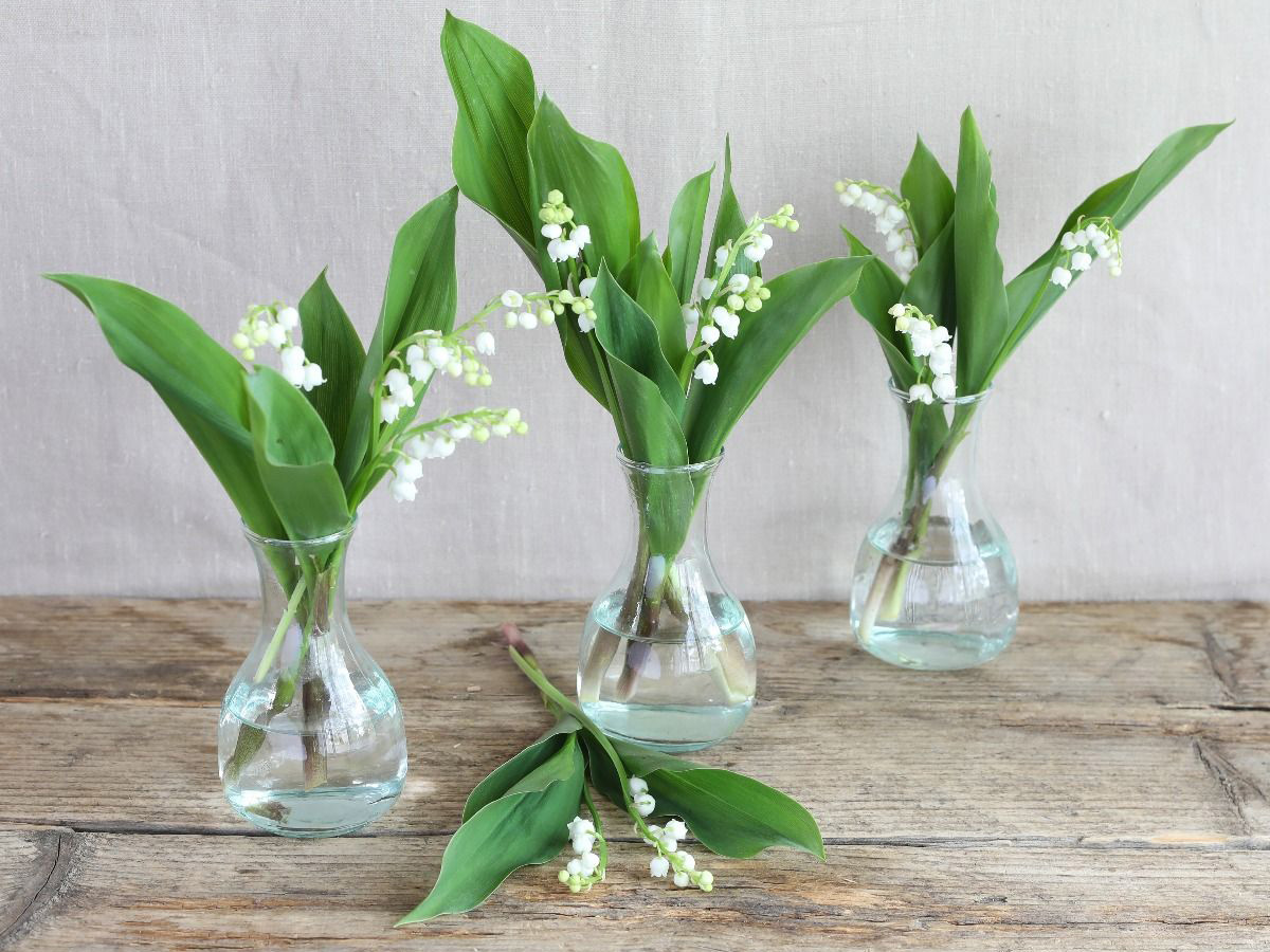 spring flowers