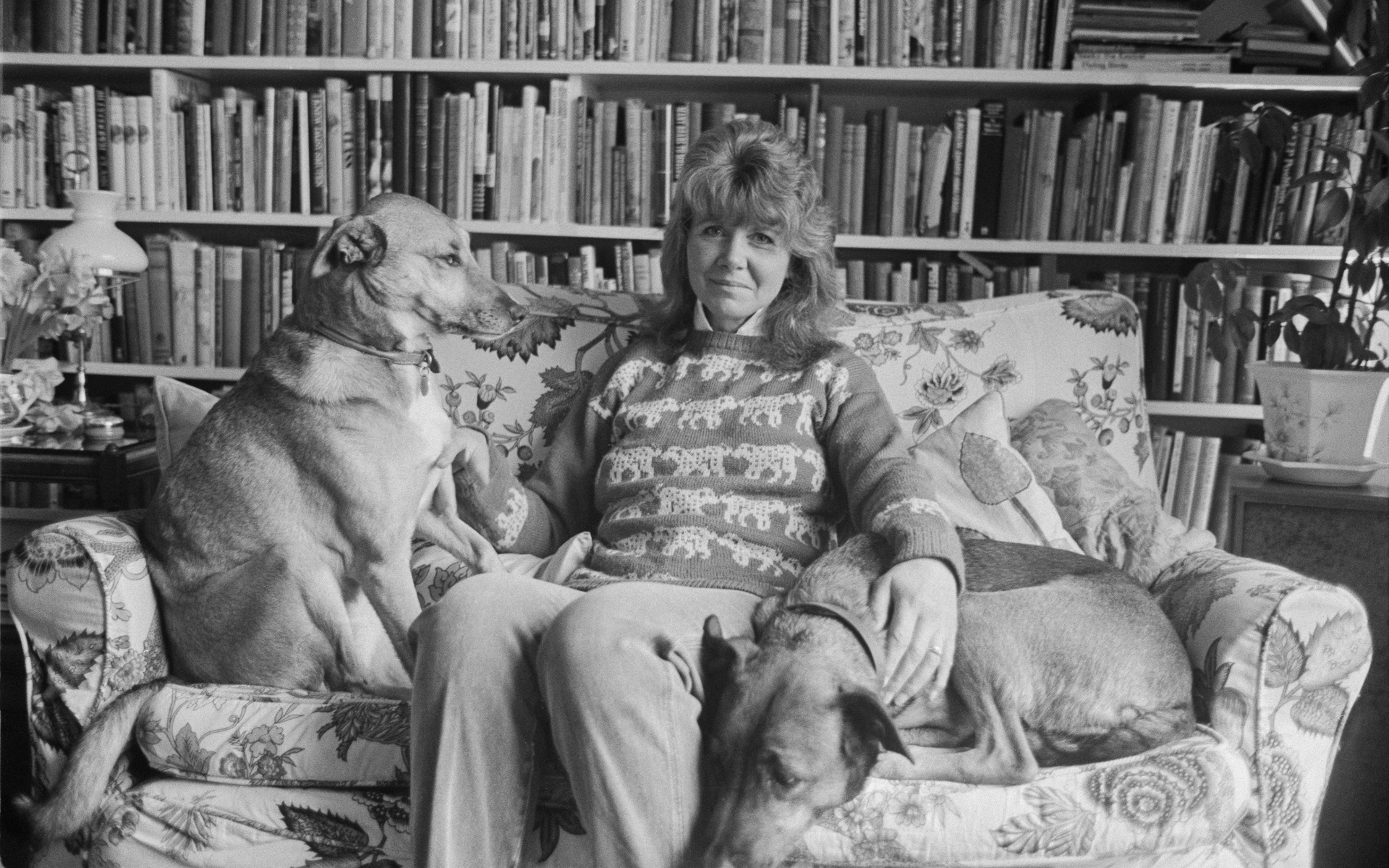 jilly cooper at home on the sofa with her two dogs, in front of a library wall full of books
