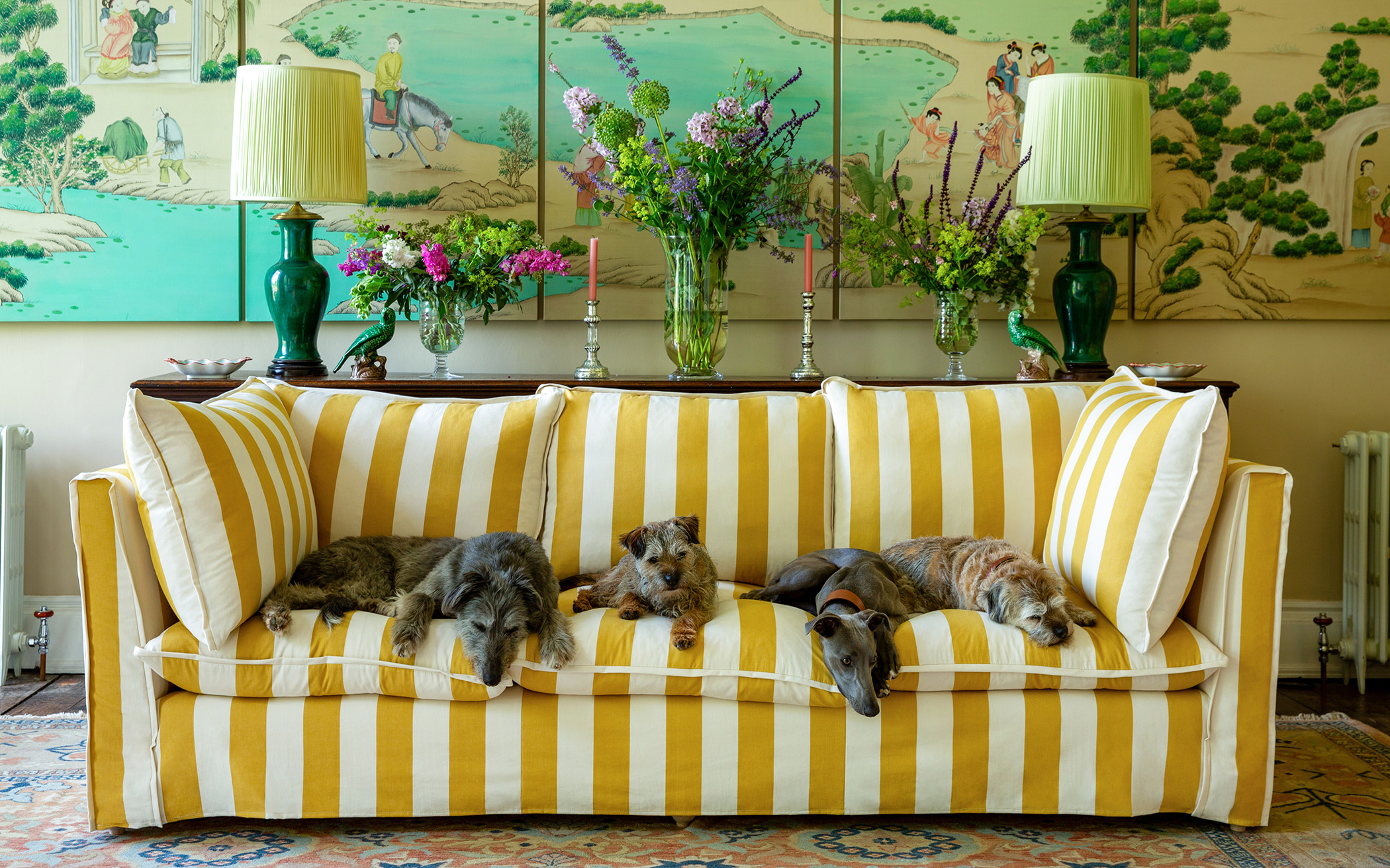 pet friendly interiors