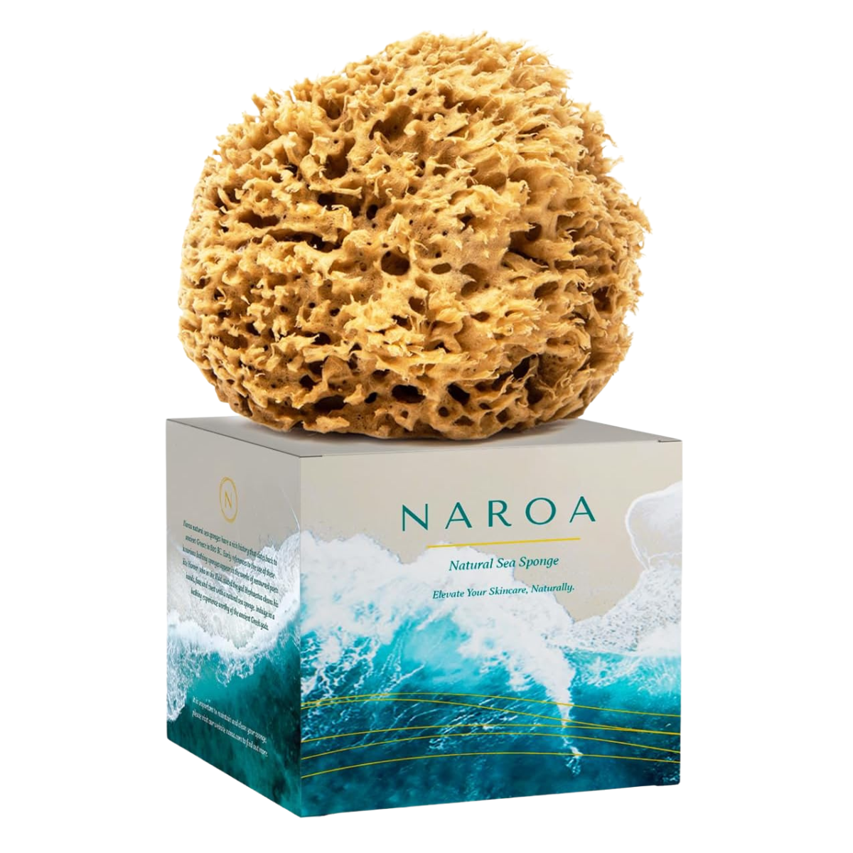 a natural sponge on top of a grey and blue box