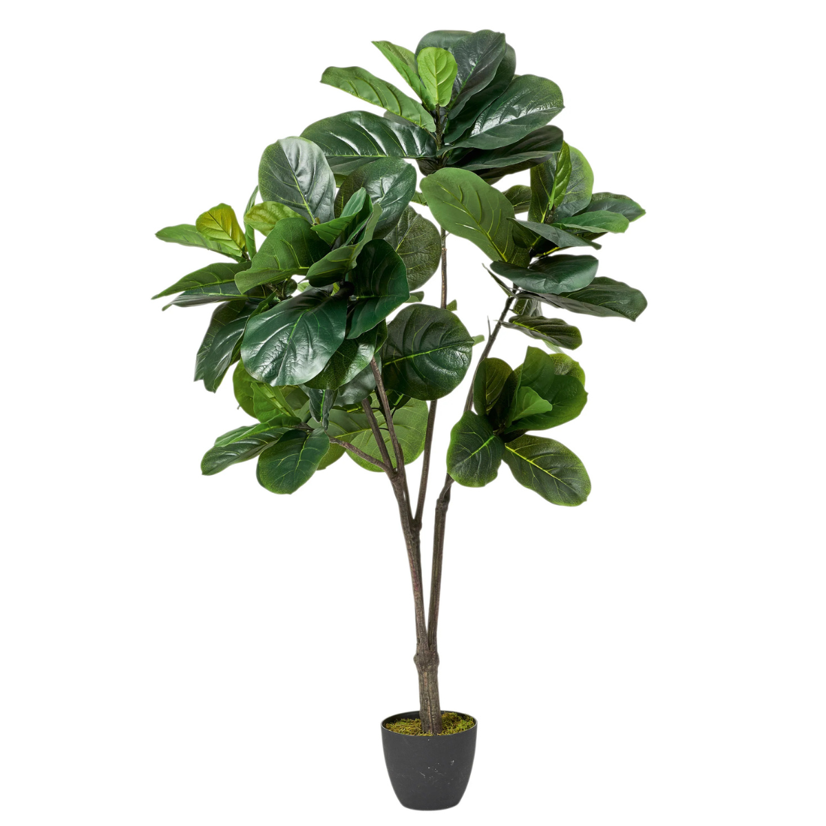 a faux fiddle leaf plant in a small black pot