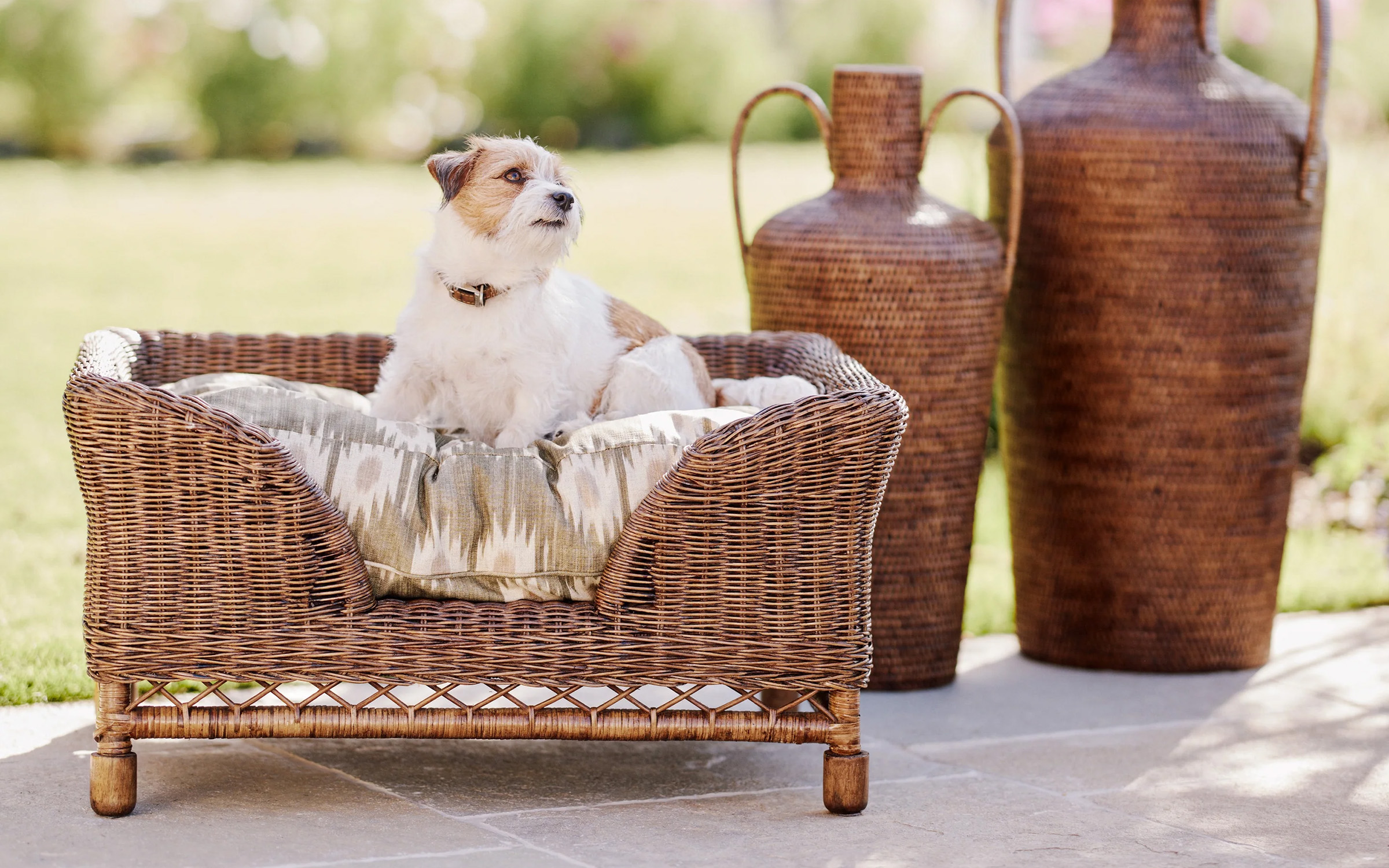oka rattan pet bed with jack russell