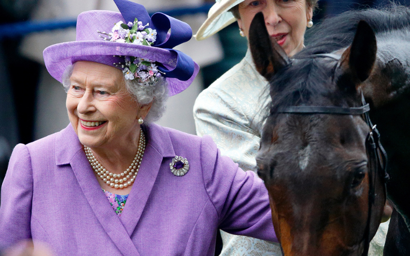 Queen Elizabeth II pats her horse 'Estimate' after it won the Ascot Gold Cup on day 3 'Ladies Day' of Royal Ascot at Ascot Racecourse on June 20, 2013