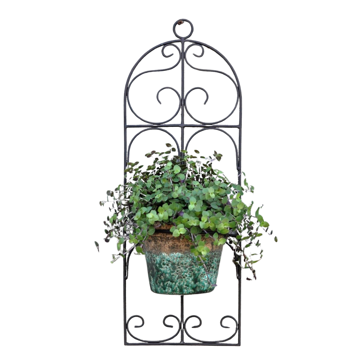 an iron ornate wall planter with a plant inside of a teal terracotta pot