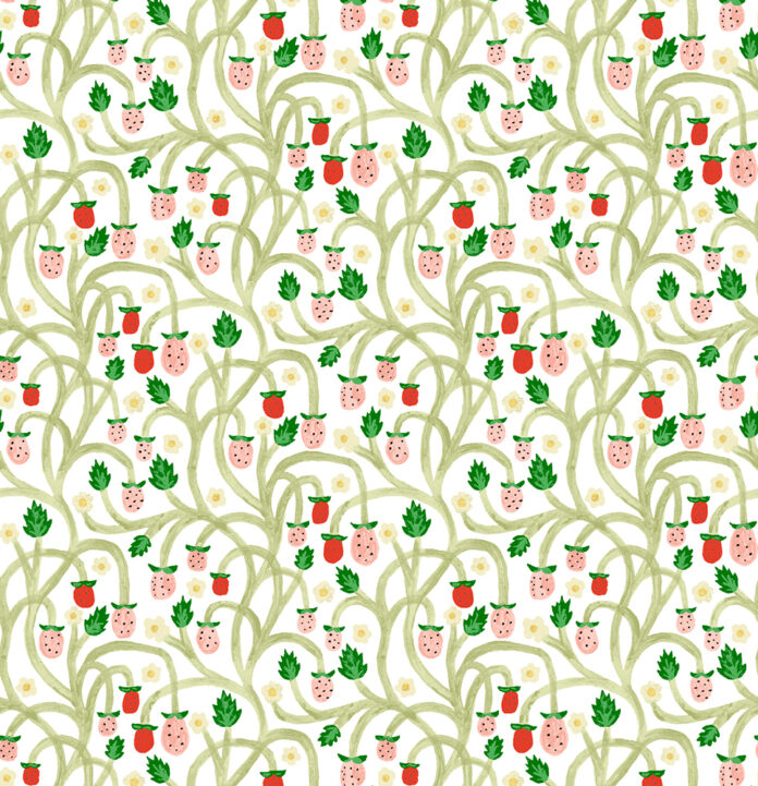 Fruit and vegetable accessories