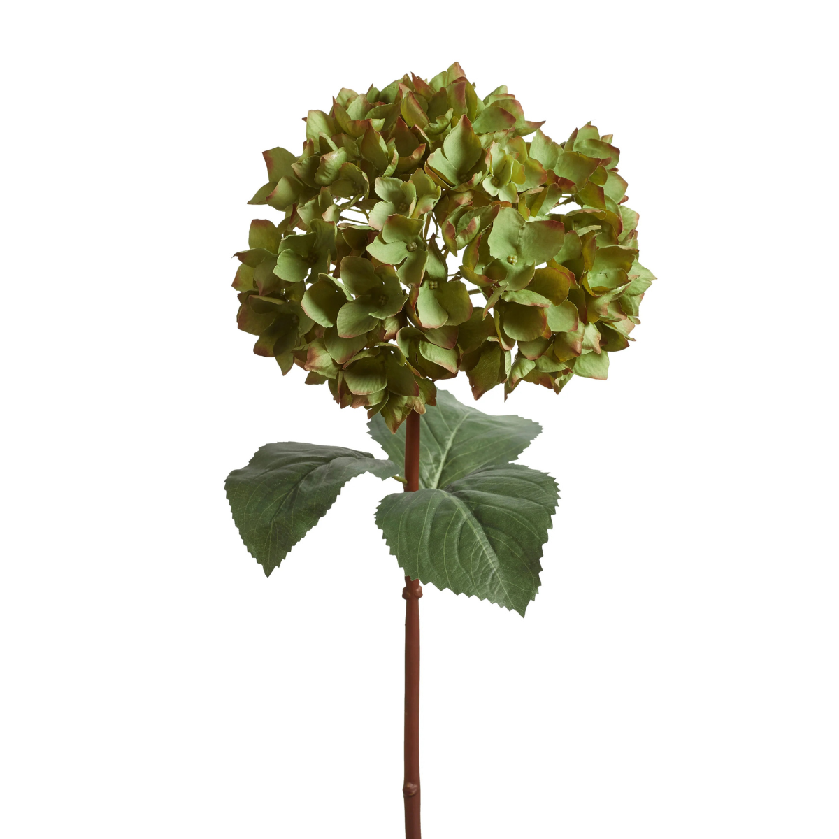 A FAUX GREEN HYDRANGEA WITH GREEN LEAVES