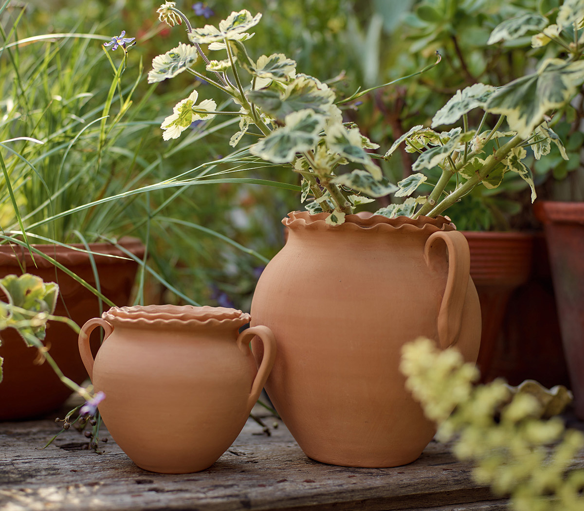 potting shed