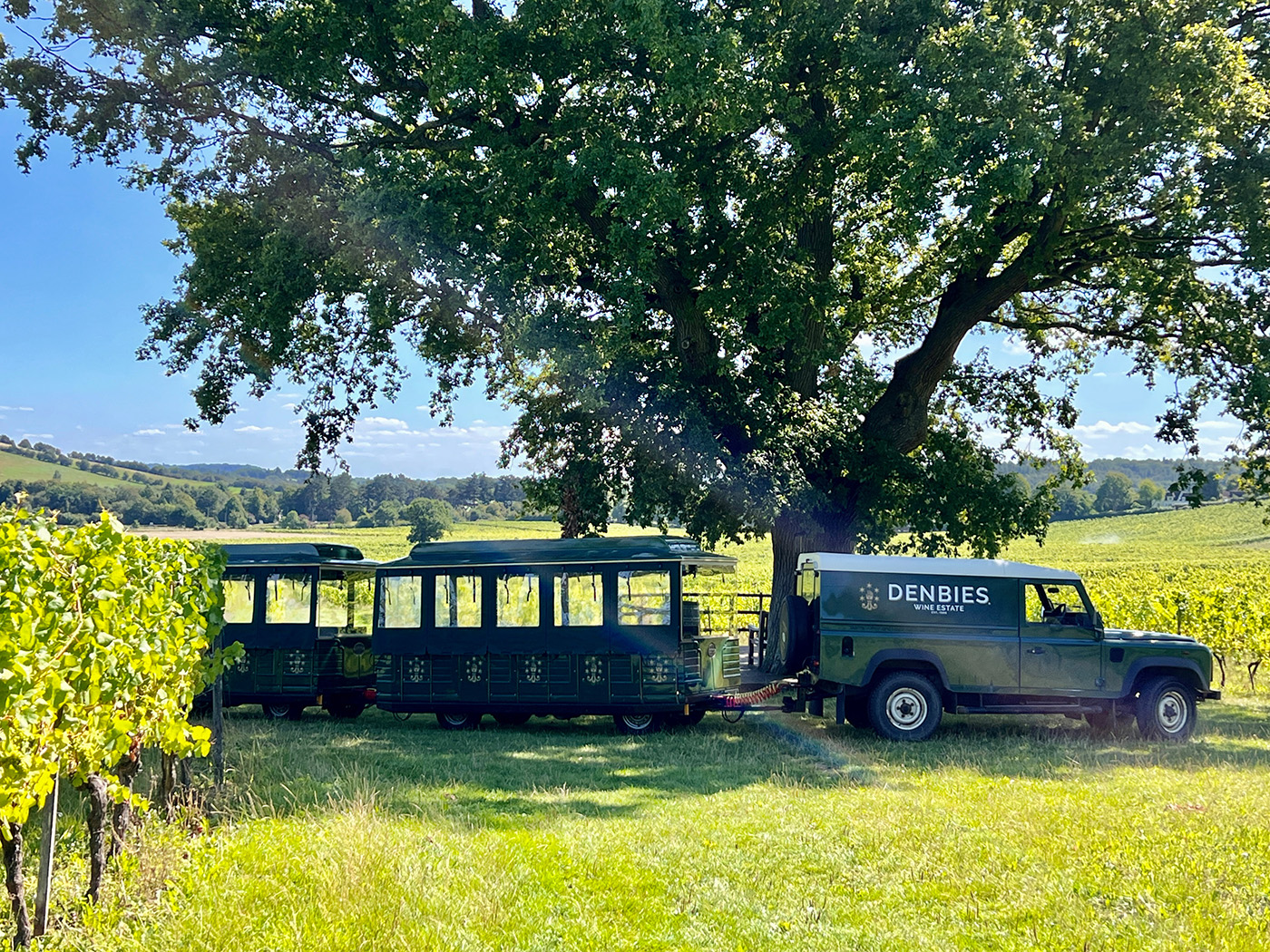 english vineyards to visit