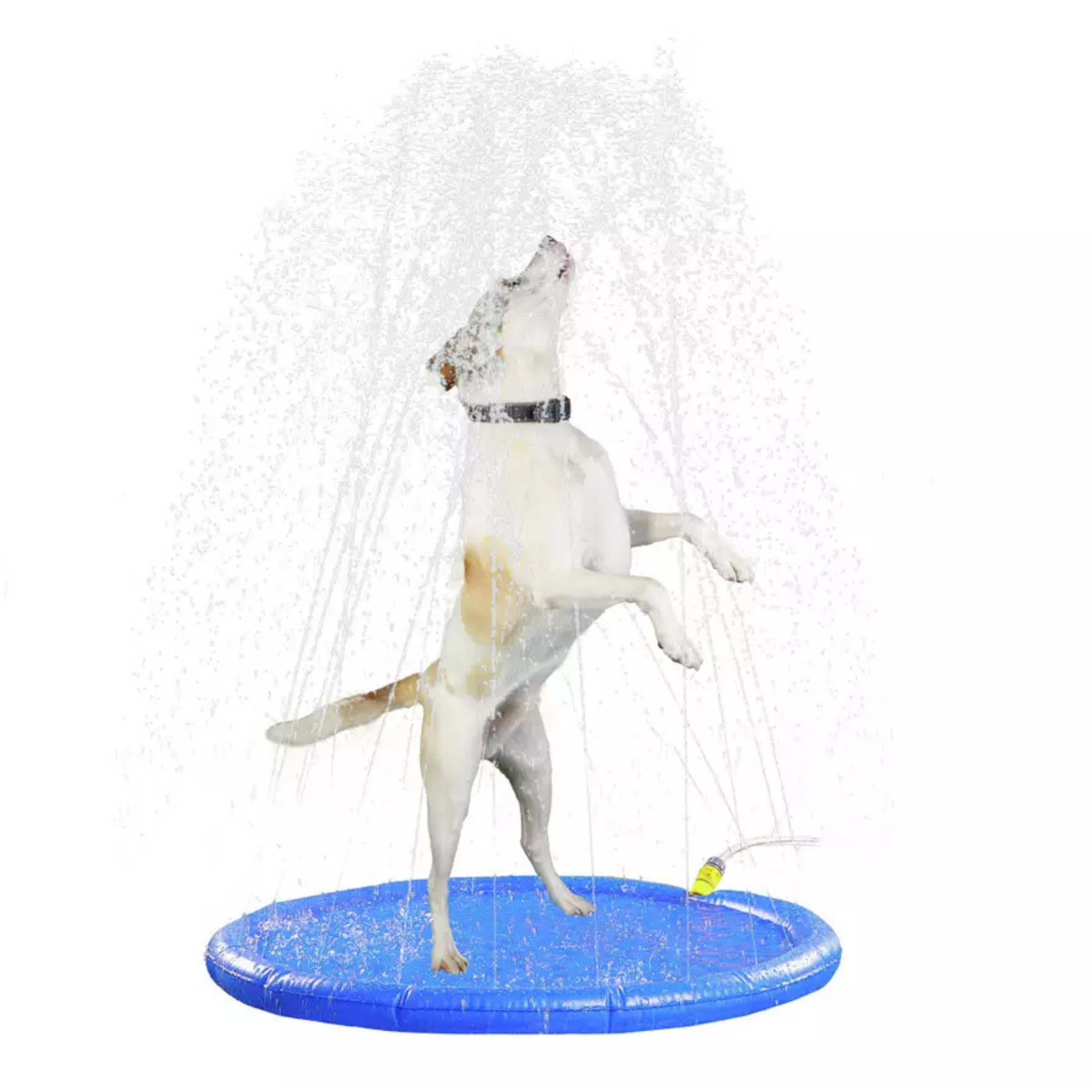 Sprinkler Cooling Mat for dogs in heatwave pictured a small dog splashing on a white background